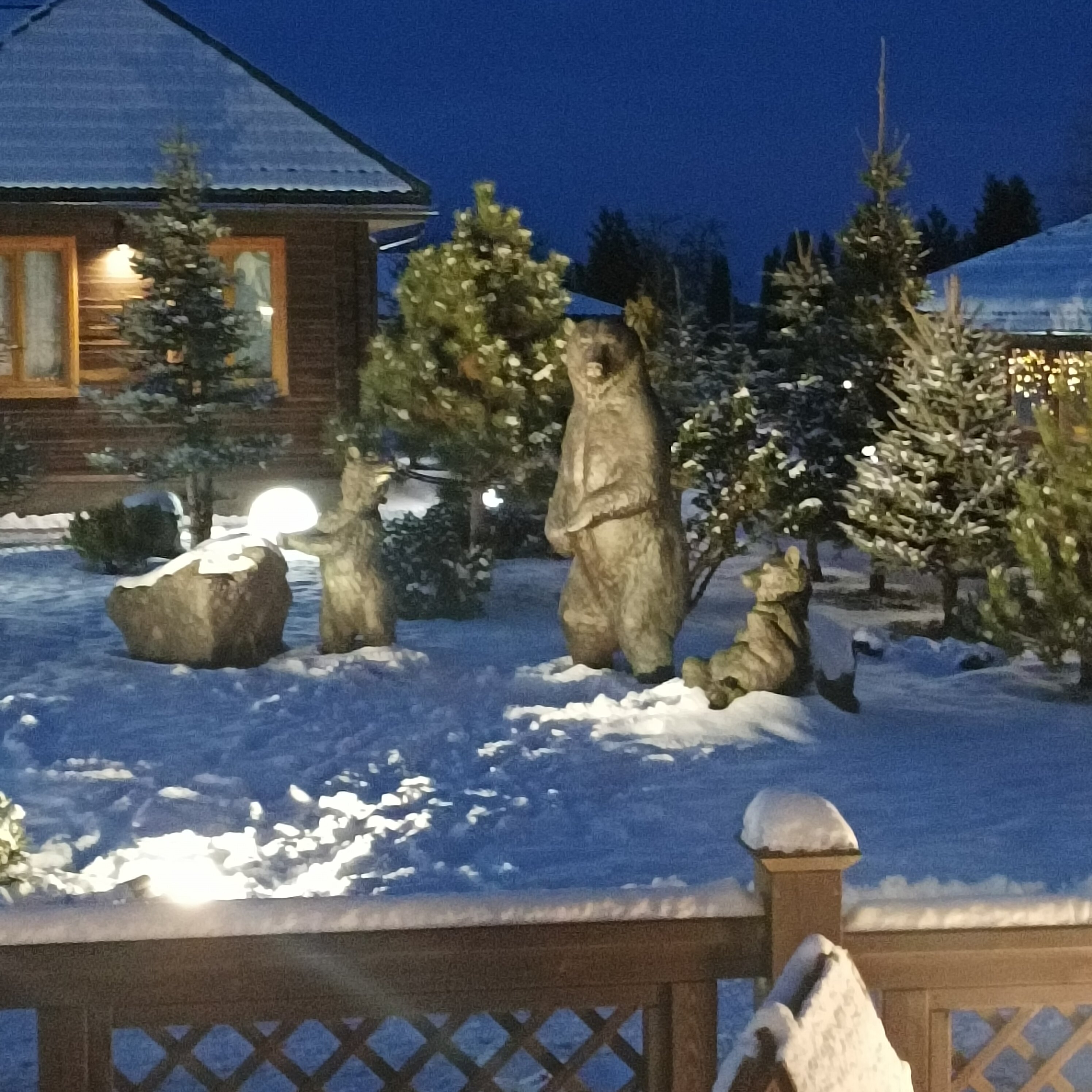 Фото Три медведя