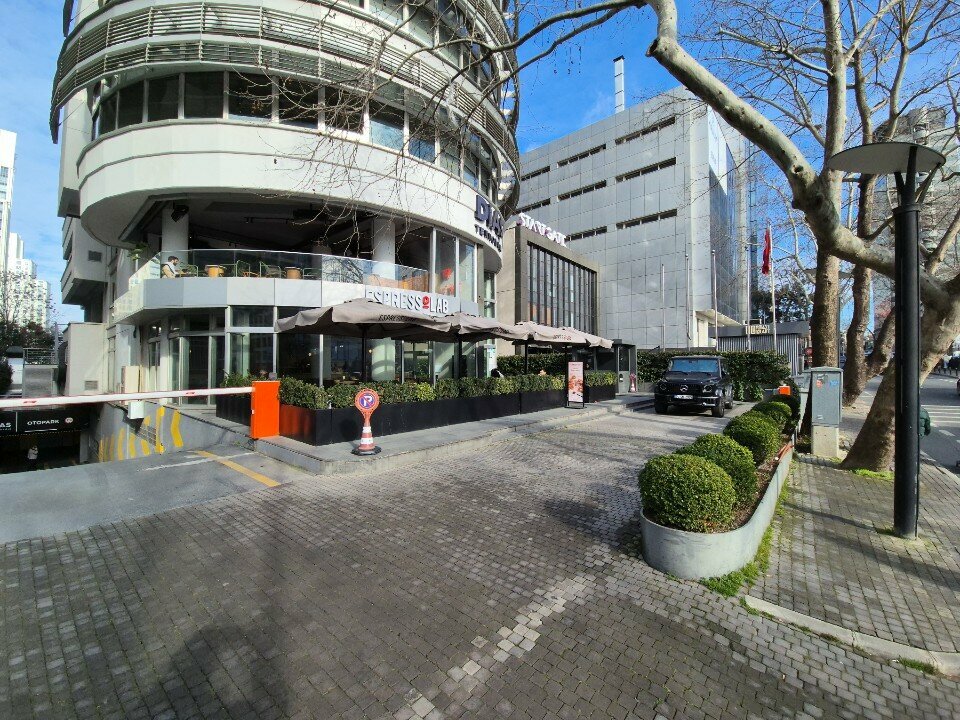 Software companies Dias Technology, Istanbul, photo