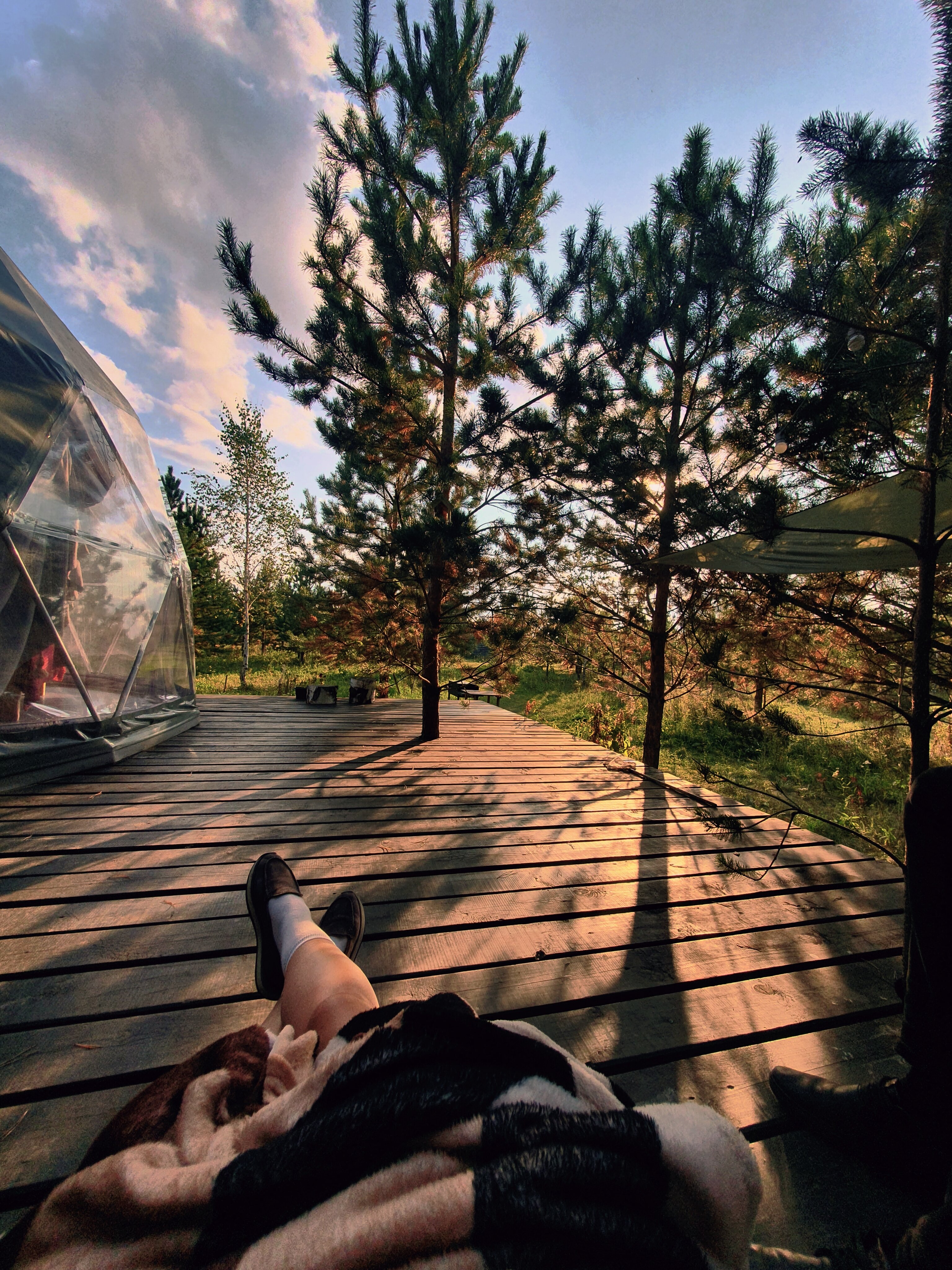 Фото Хэллоферма