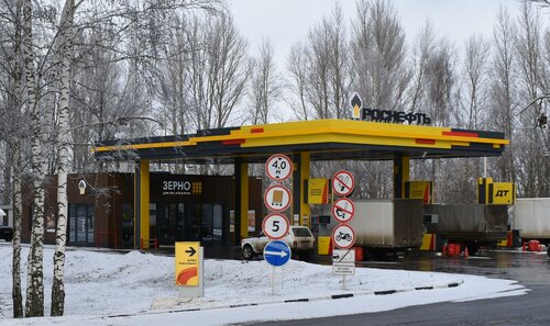 Gas station Rosneft, Tambov Oblast, photo