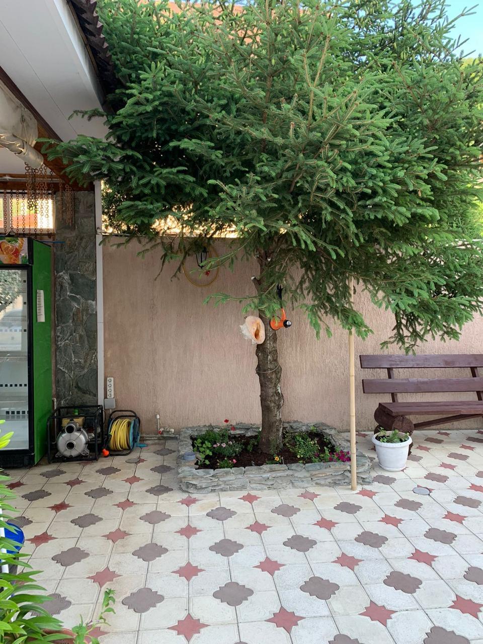 Фото Людмила