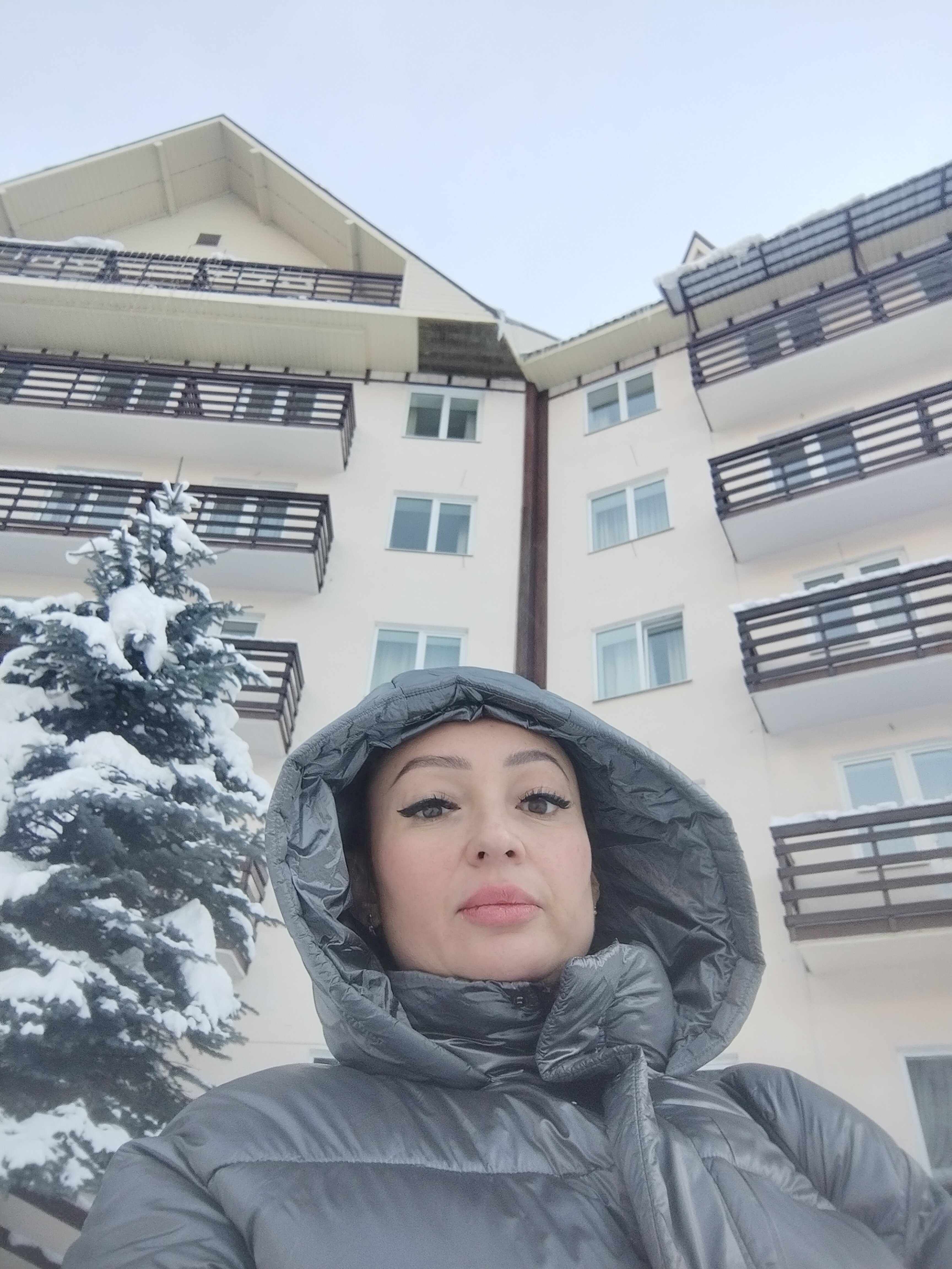 Фото Снежный Барс