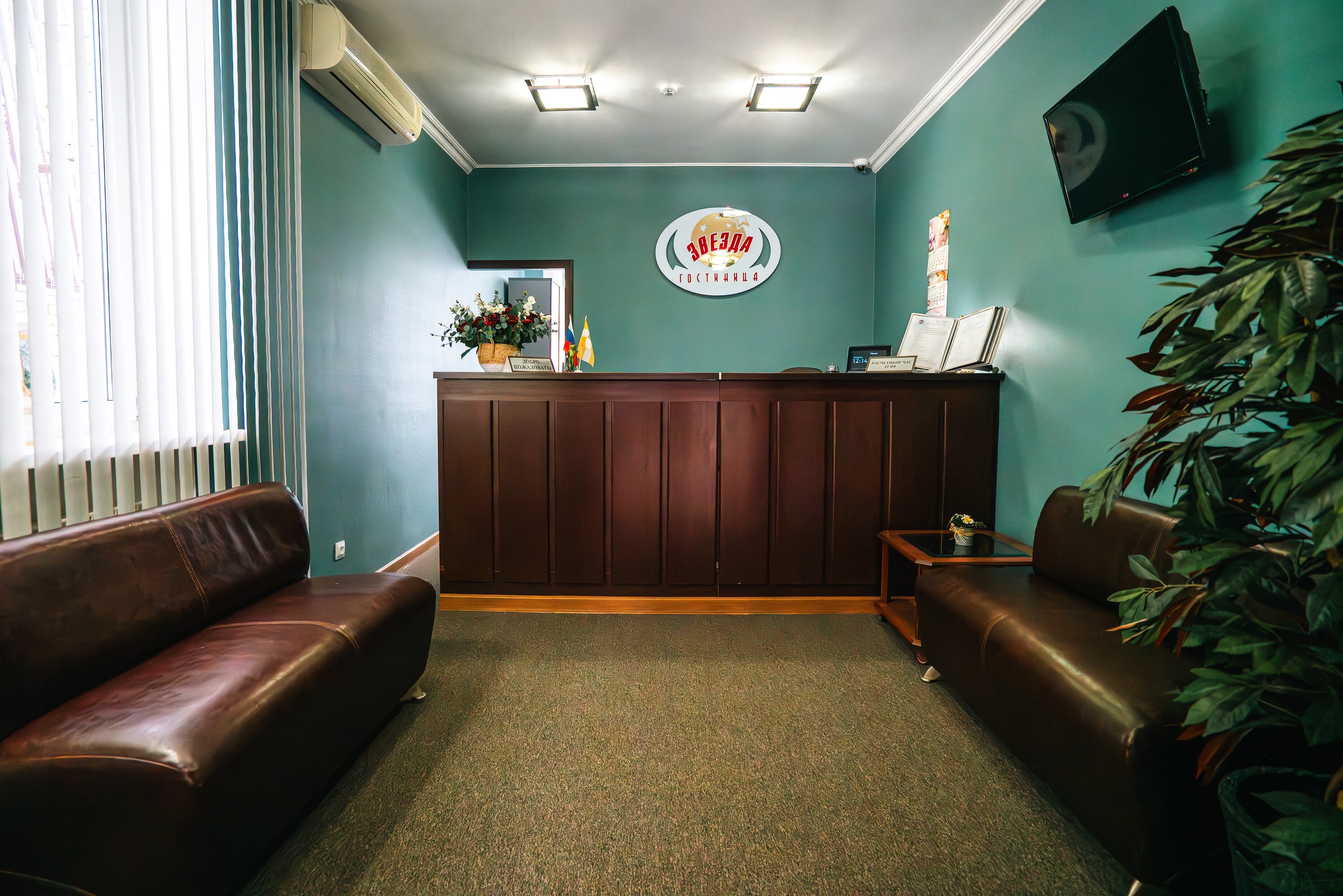 Фото Звезда