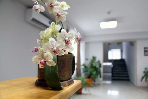 Хостел Чешский дом в Сочи