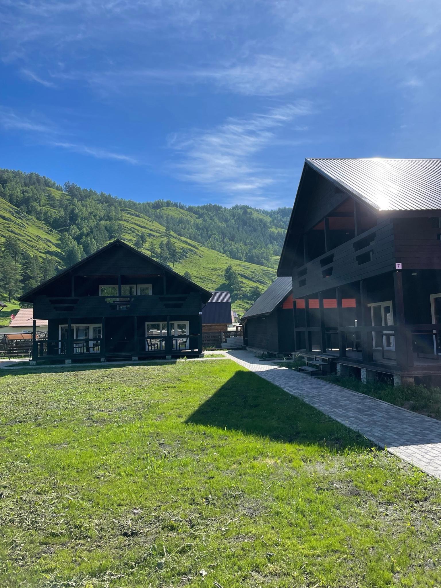 Фото Мамонт