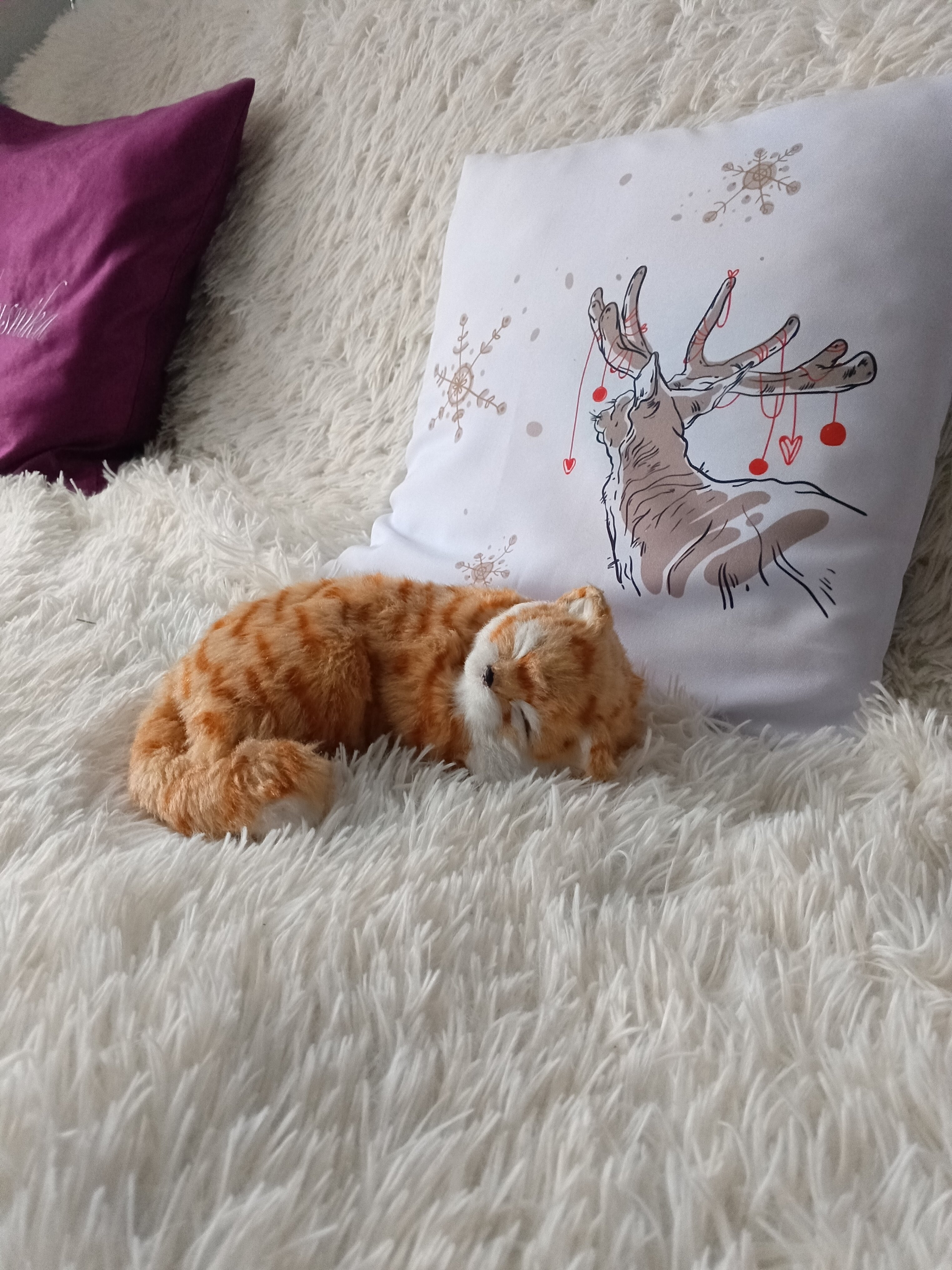 Фото Брусника