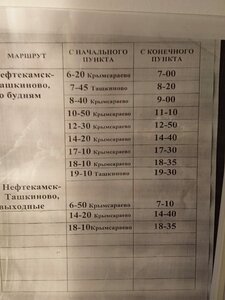 Агидель (selo Tashkinovo, Tsentralnaya ulitsa, 3), cafe