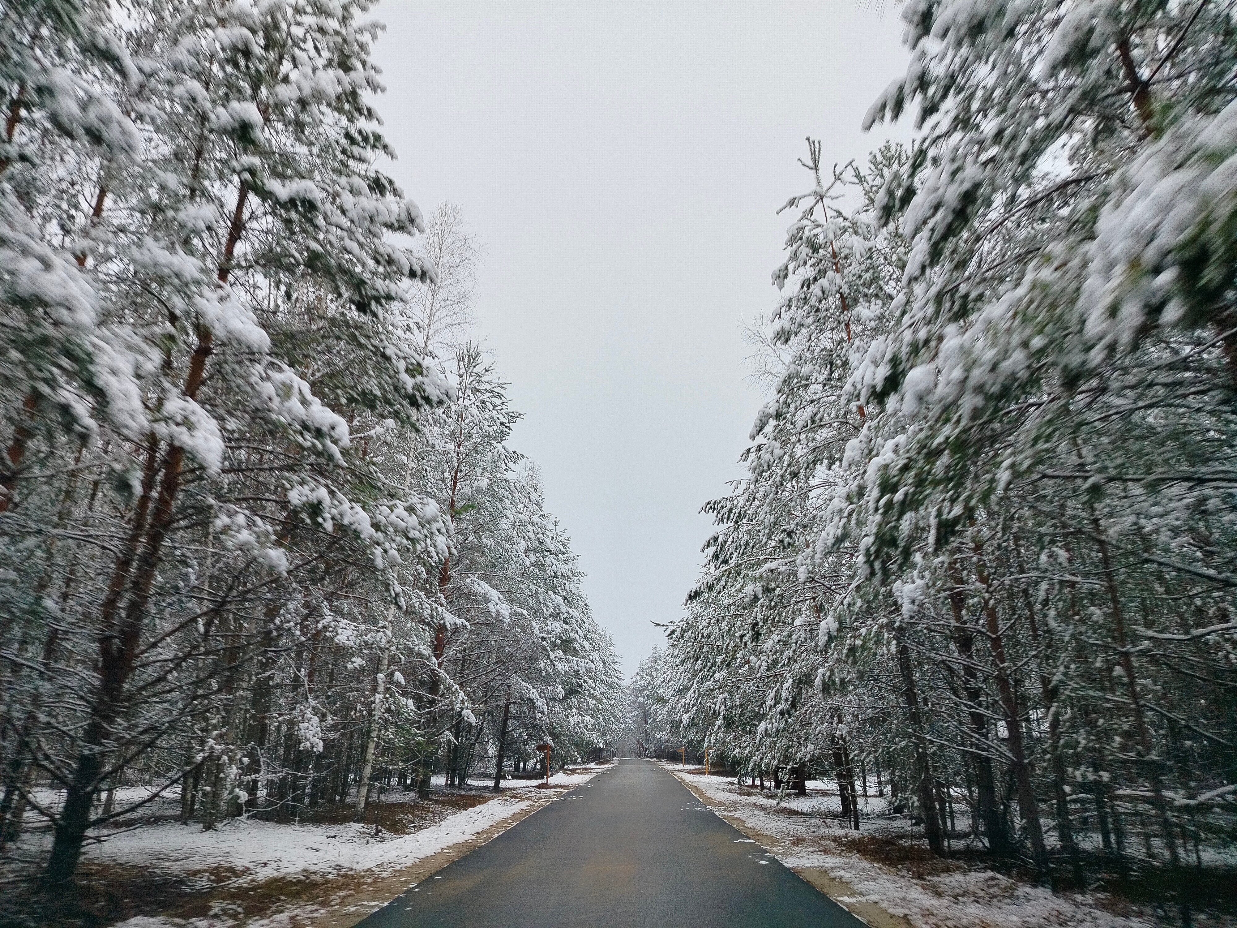 Фото Бутик-Отель Полесье