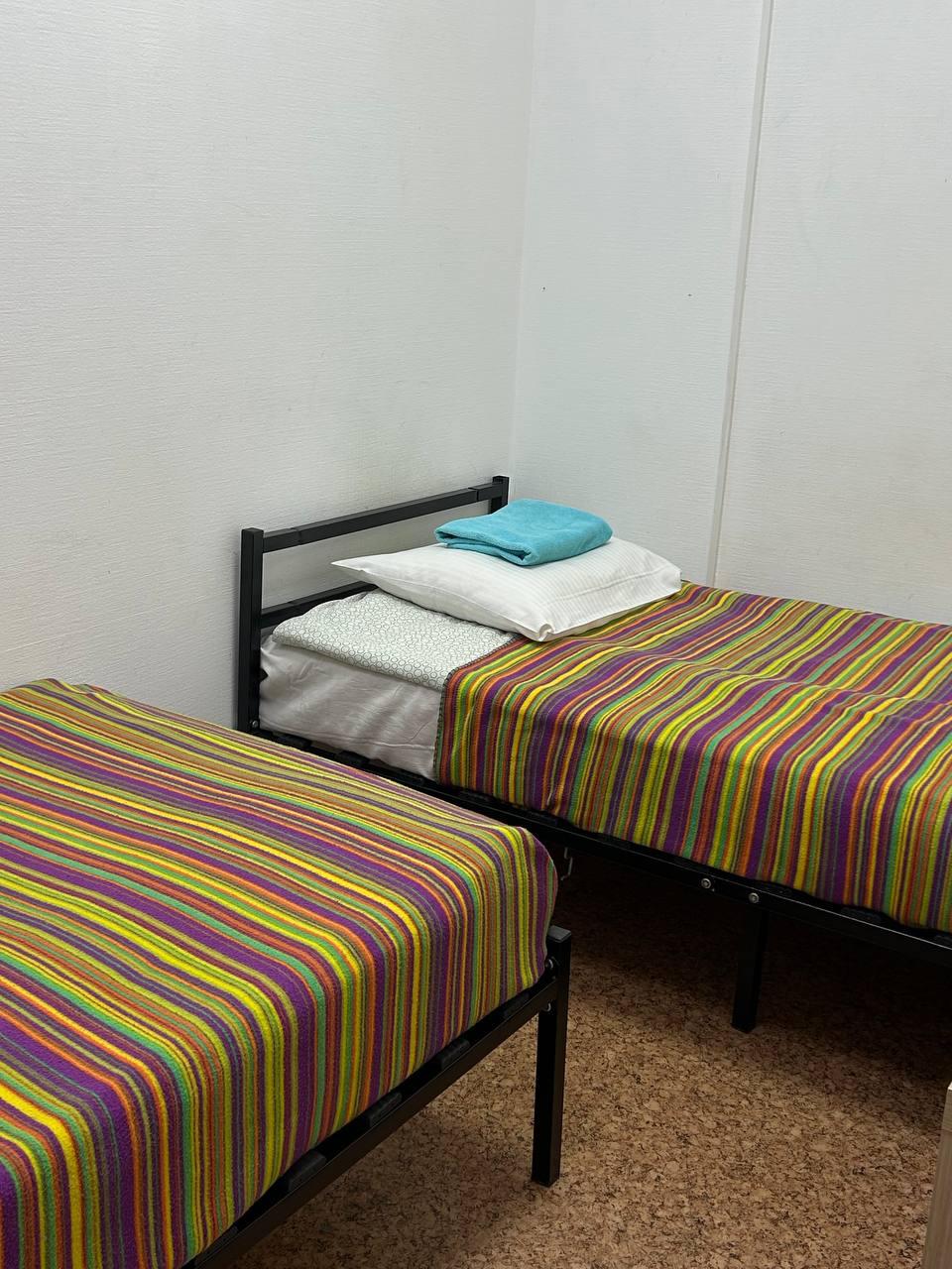 Фото Берёза