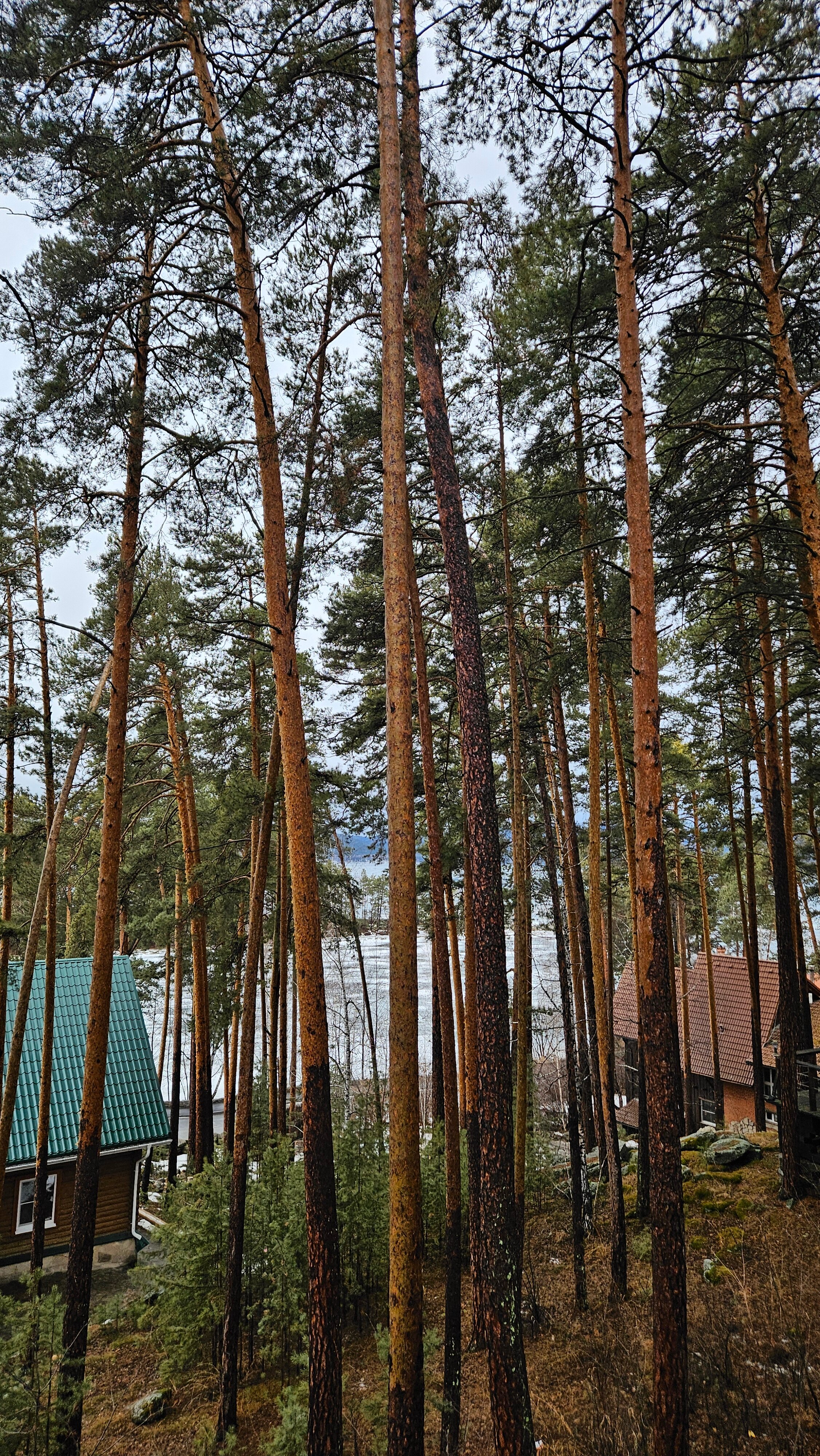 Фото Шале Тургояк