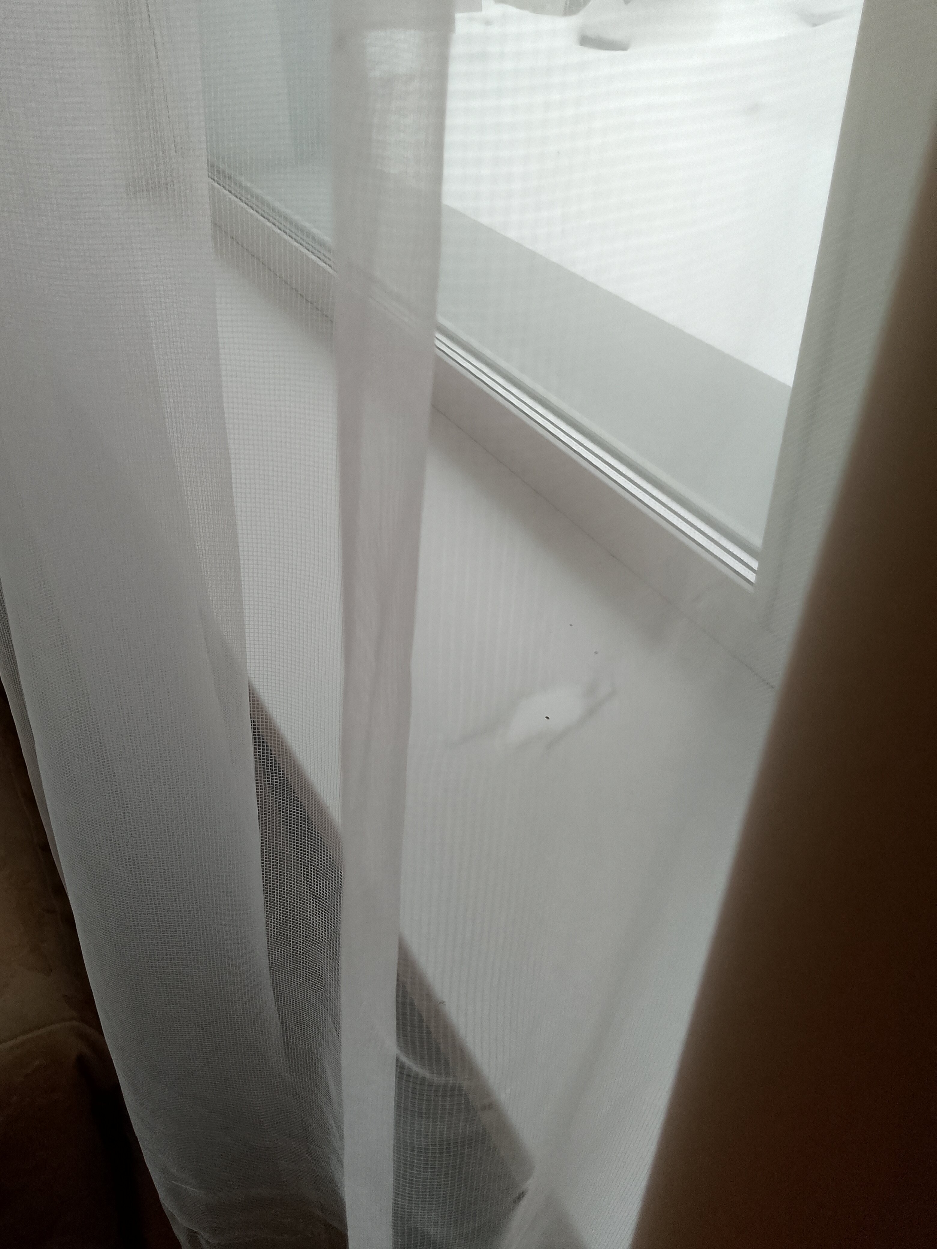 Фото Марко Поло