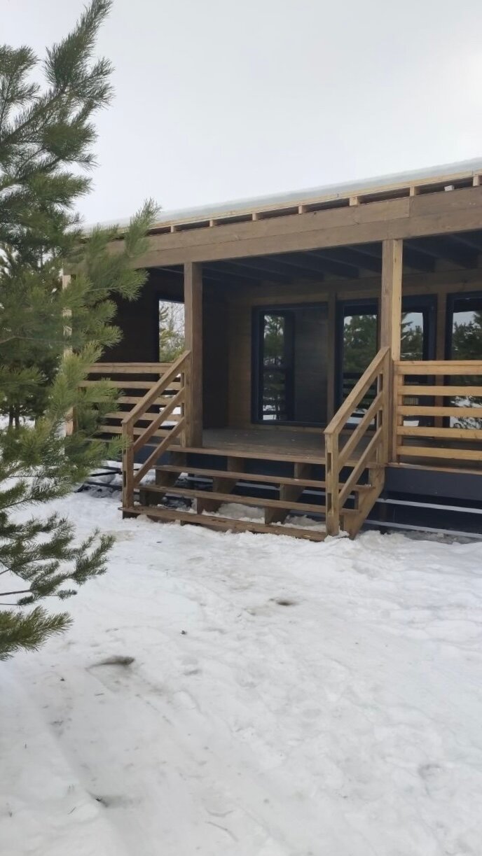 Фото 12 Сосен