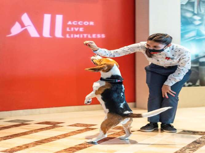 Фото ibis Bengaluru Hosur Road Hotel