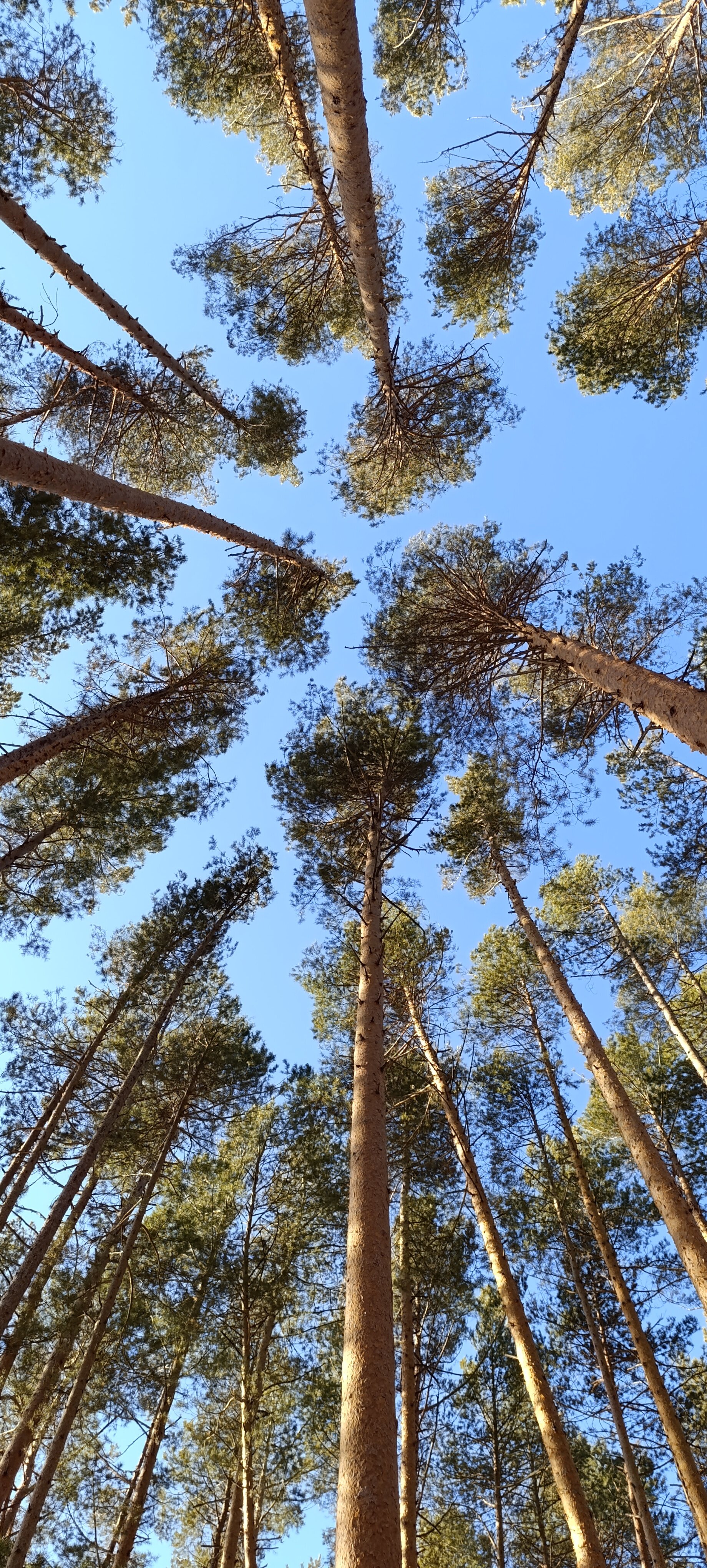 Фото Шелест Inn