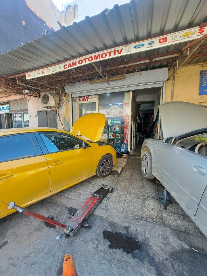 Auto parts and auto goods store Can Automotive, Izmir, photo