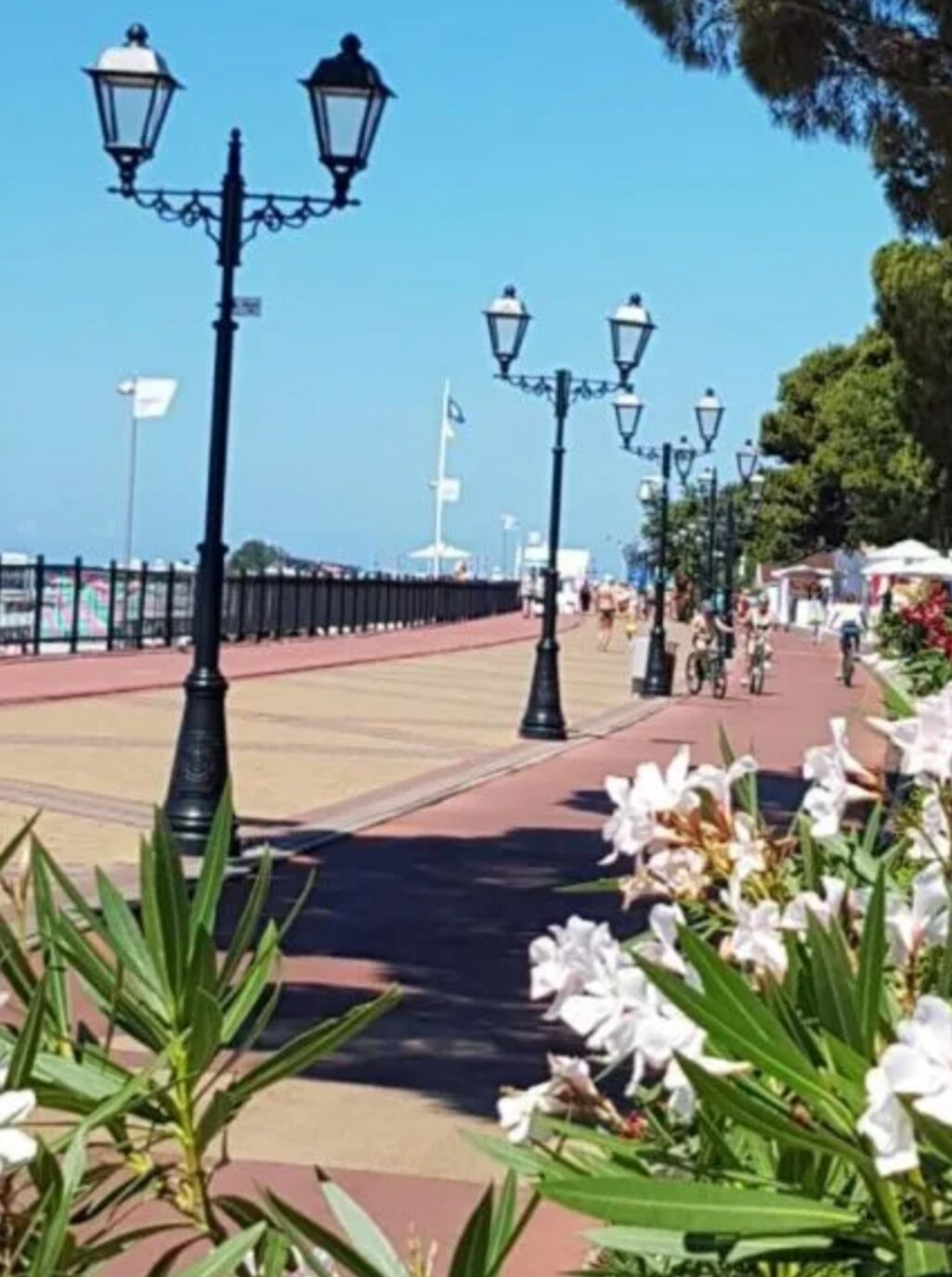 Фото Гостевой дом Ольга