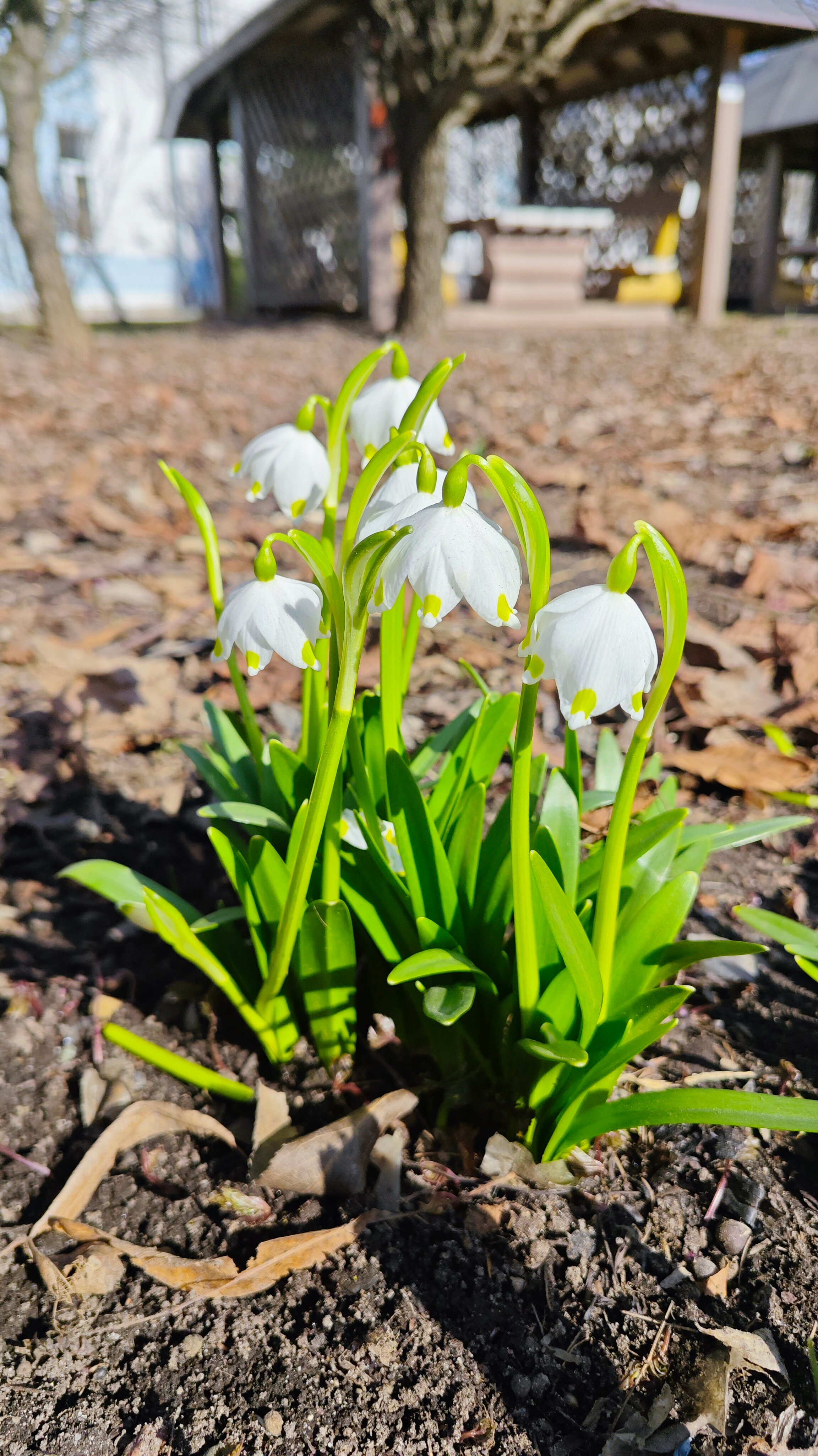 Фото Петро Спорт 