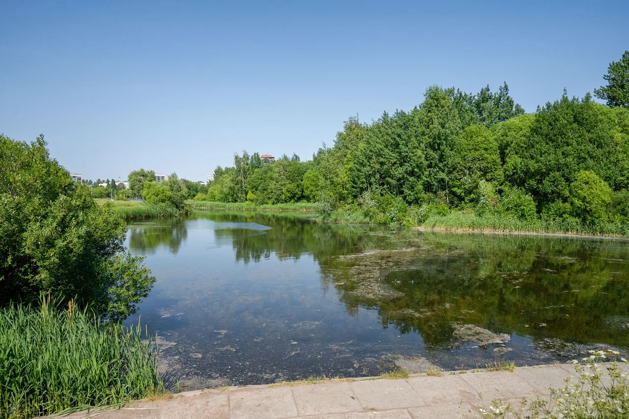 Фото Империал