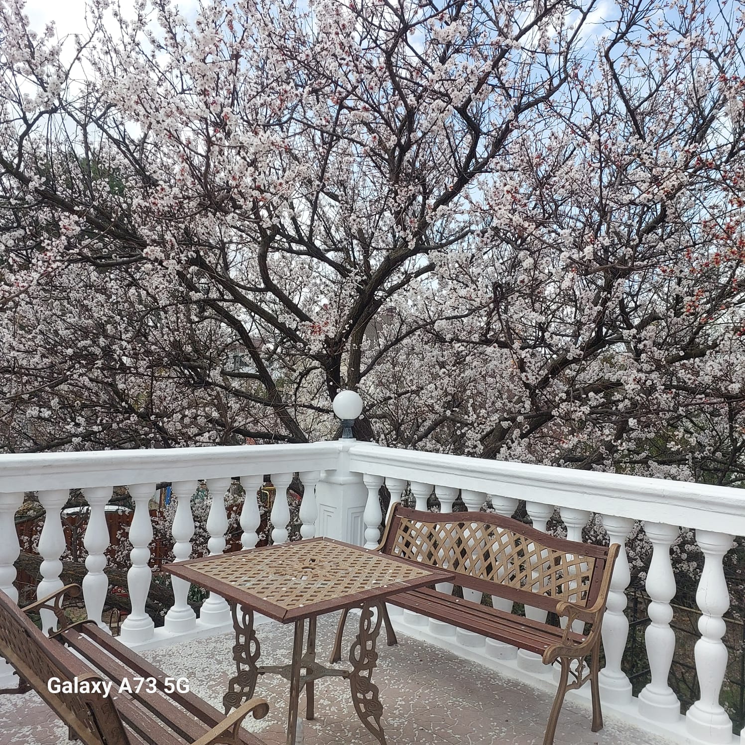 Фото Солнечный бриз