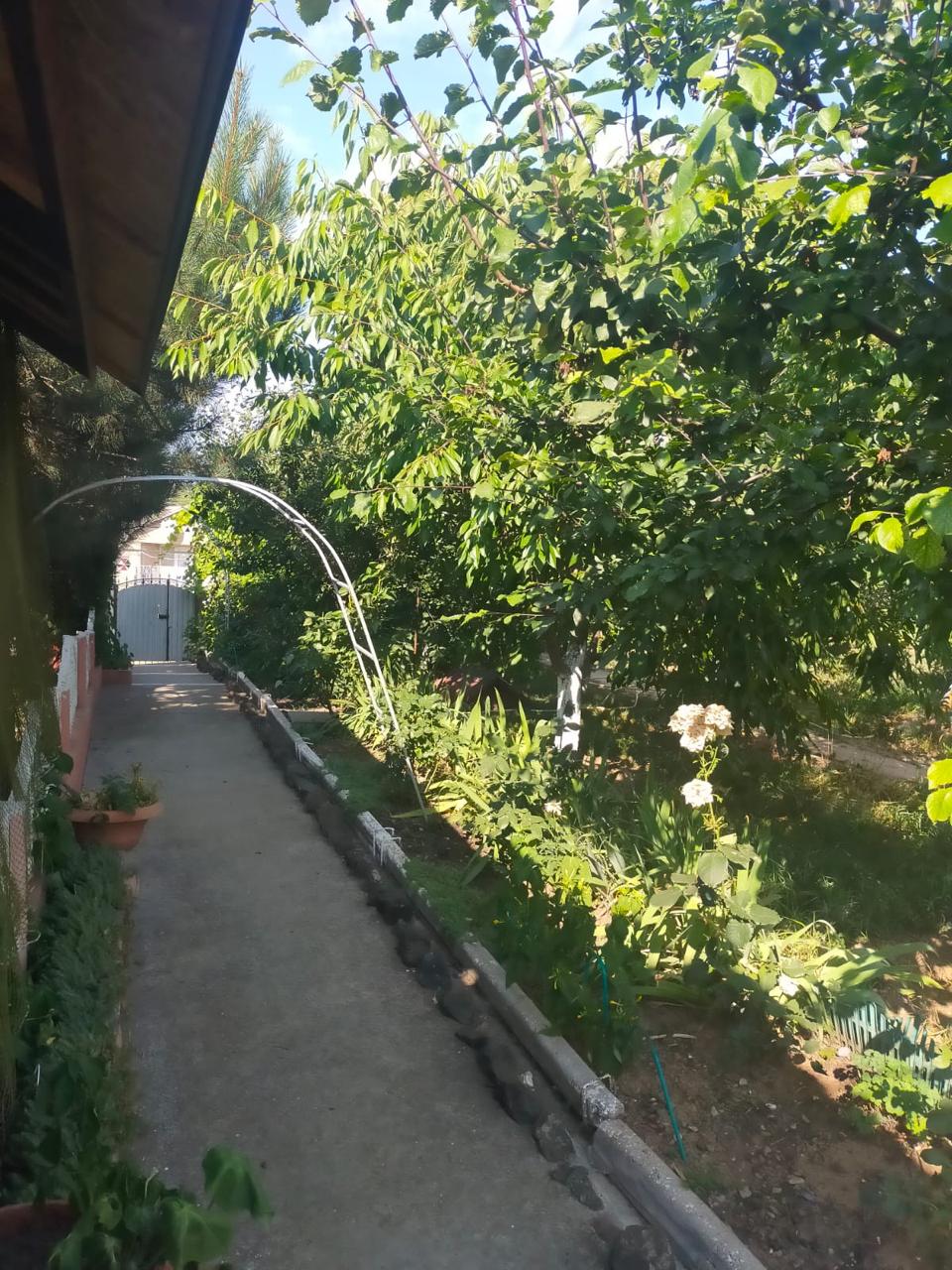 Фото Лукулл