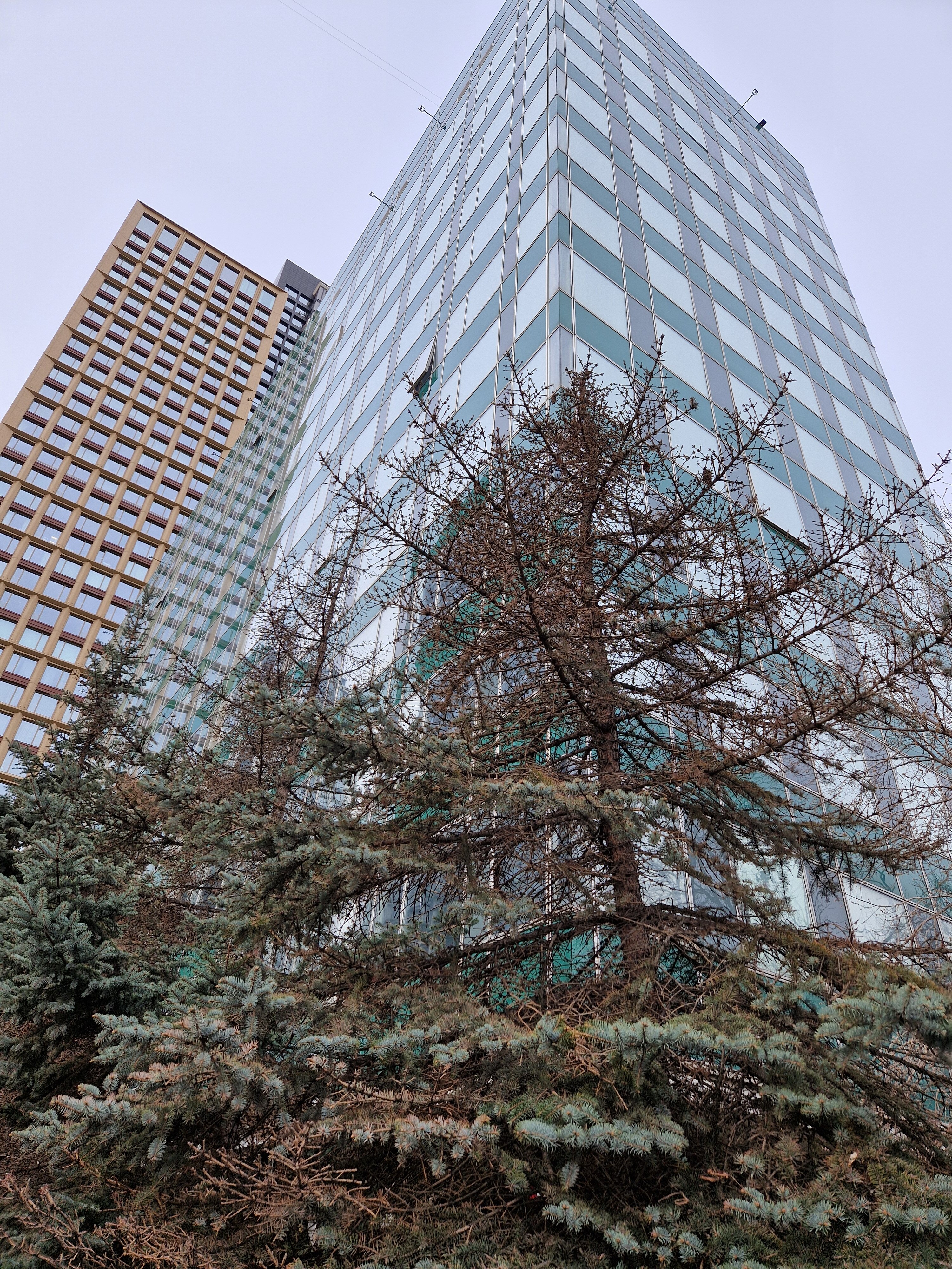 Фото Аэрополис