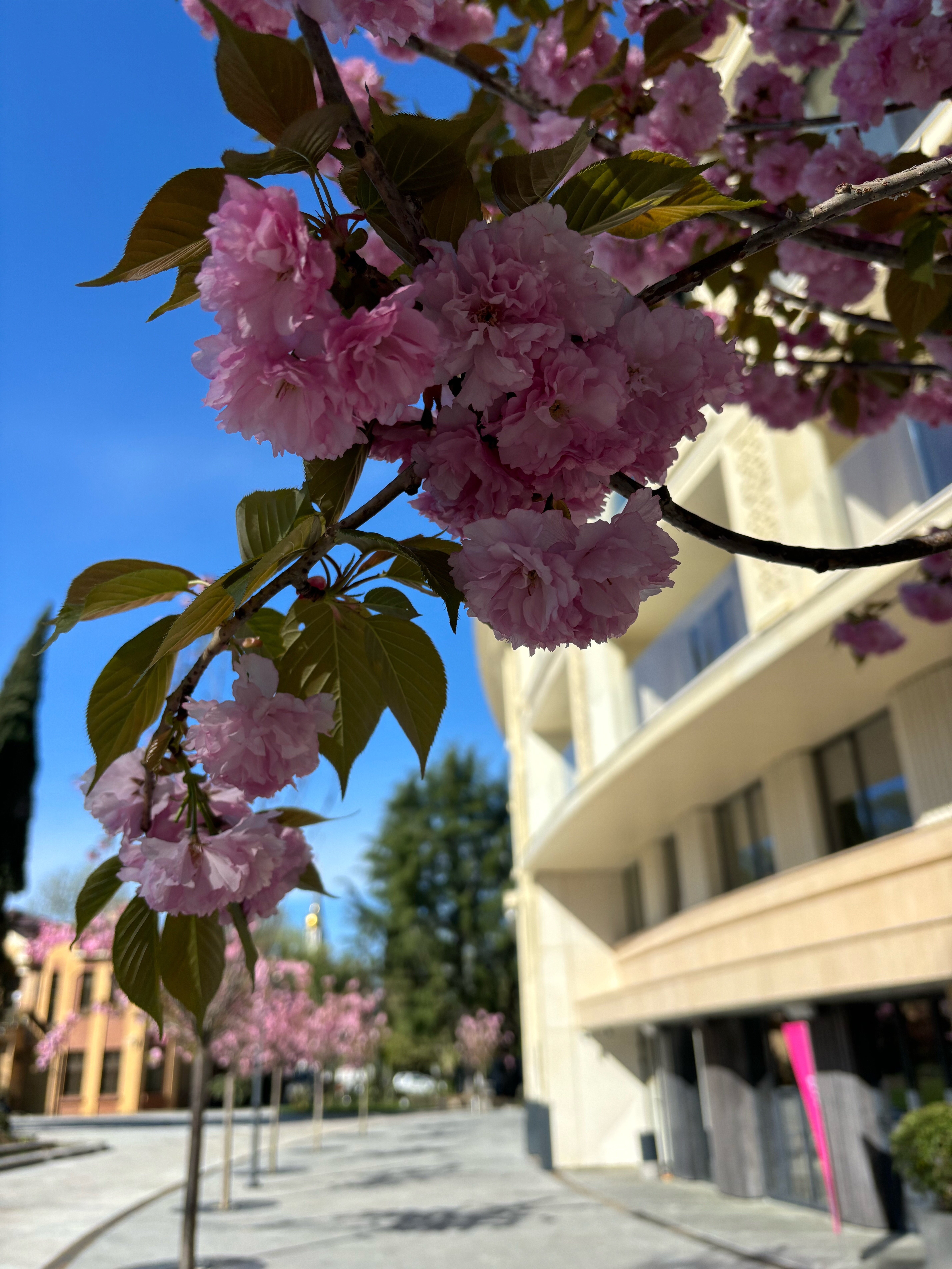 Фото Гранд Каскад