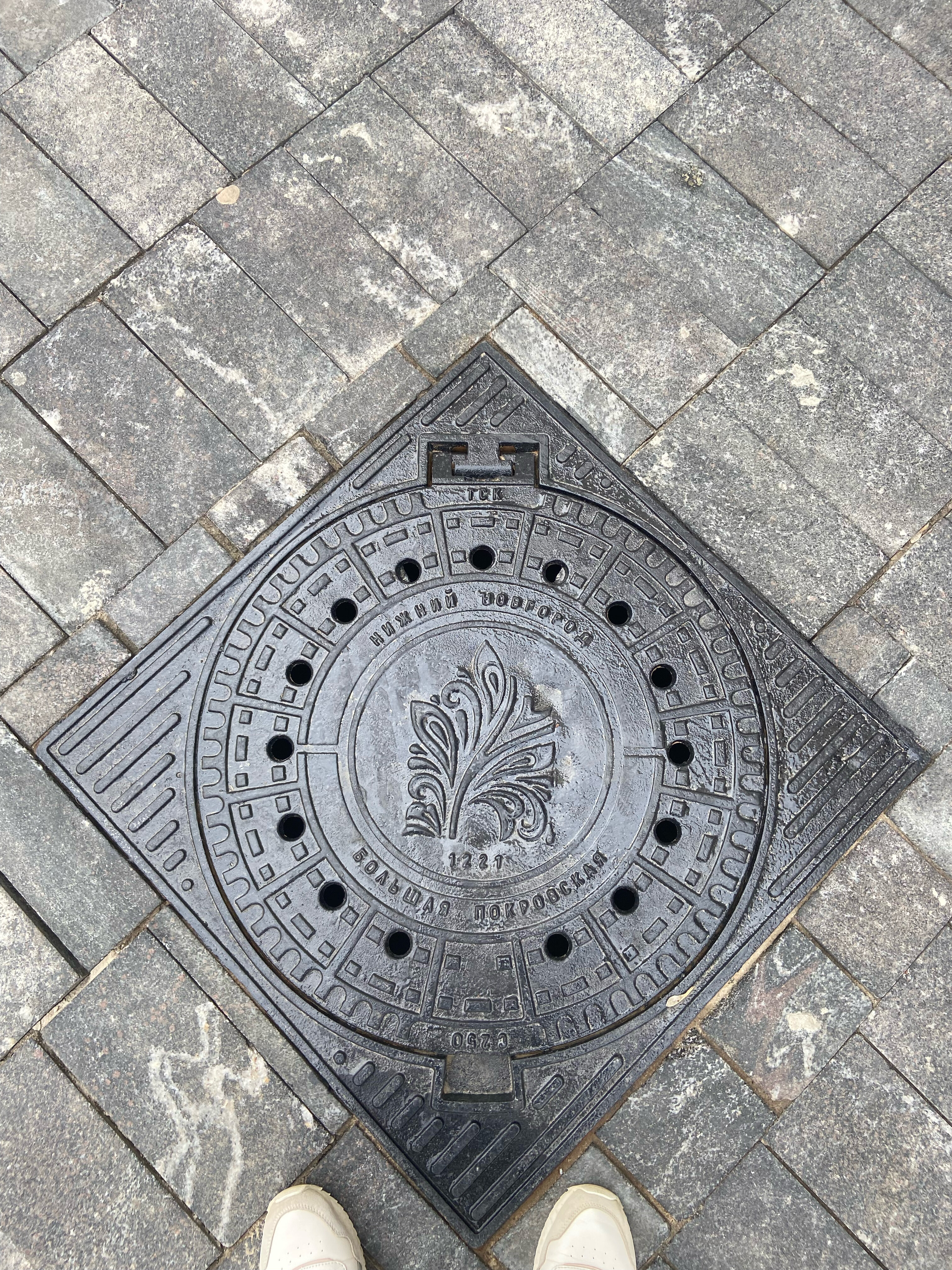 Фото Жук Жак