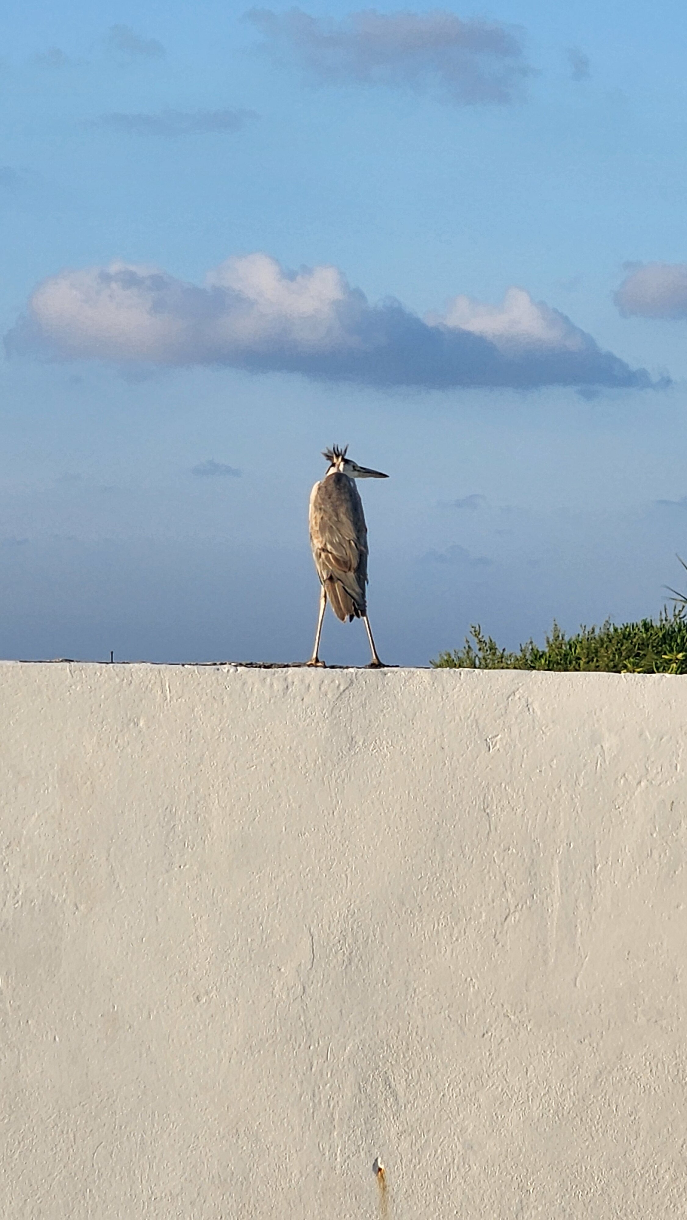 Фото Lagoon View Maldives