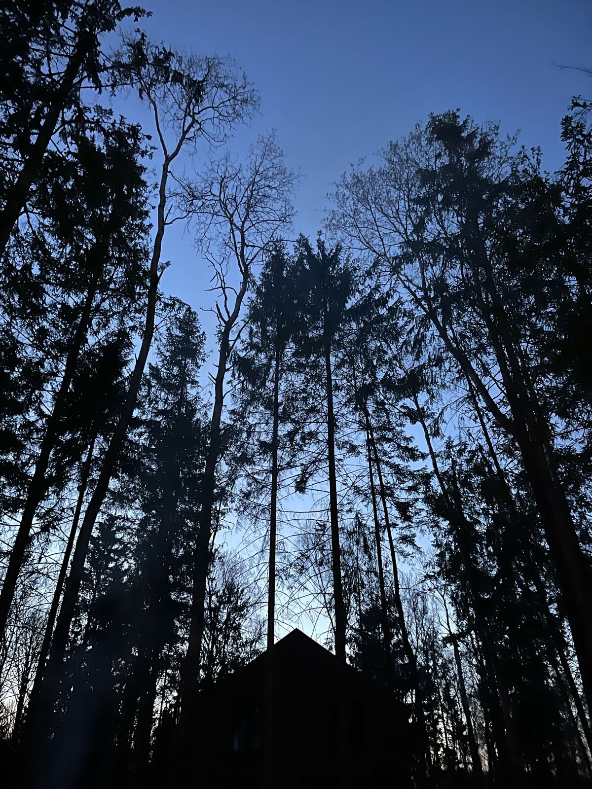 Фото Дом с душой