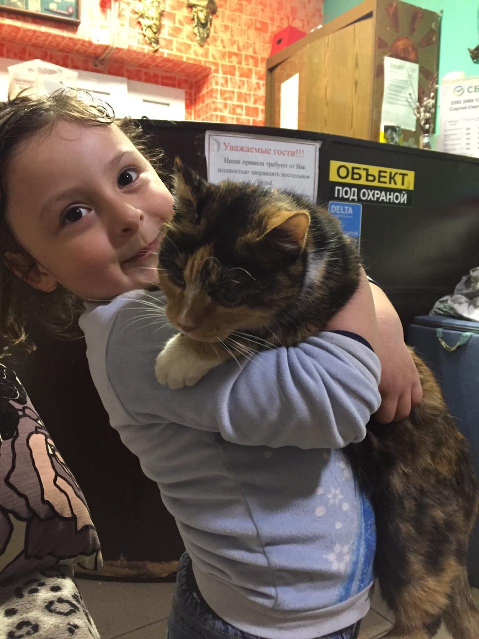 Фото Хостел в центре Петербурга