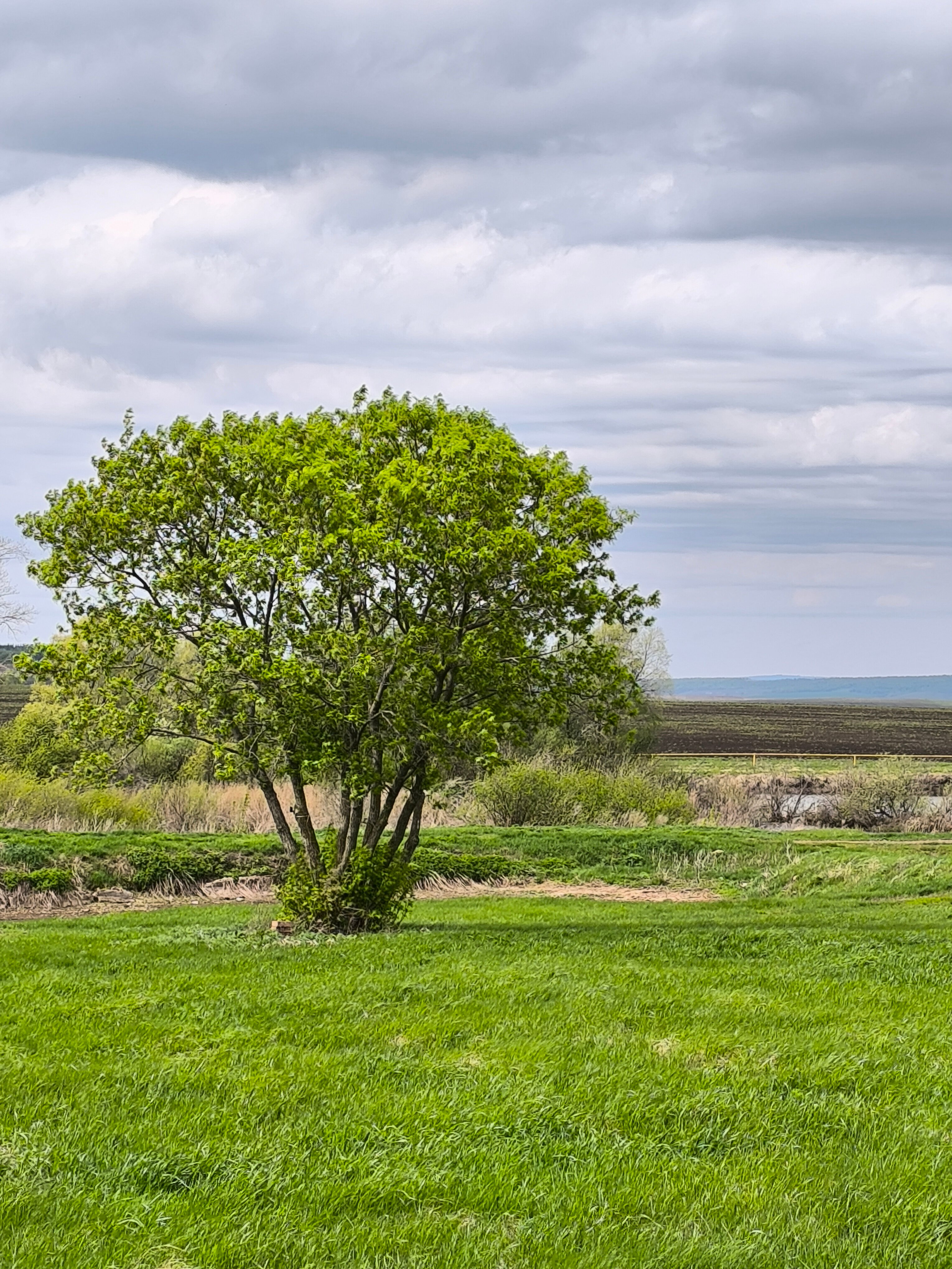 Фото Солнечный Пригорок