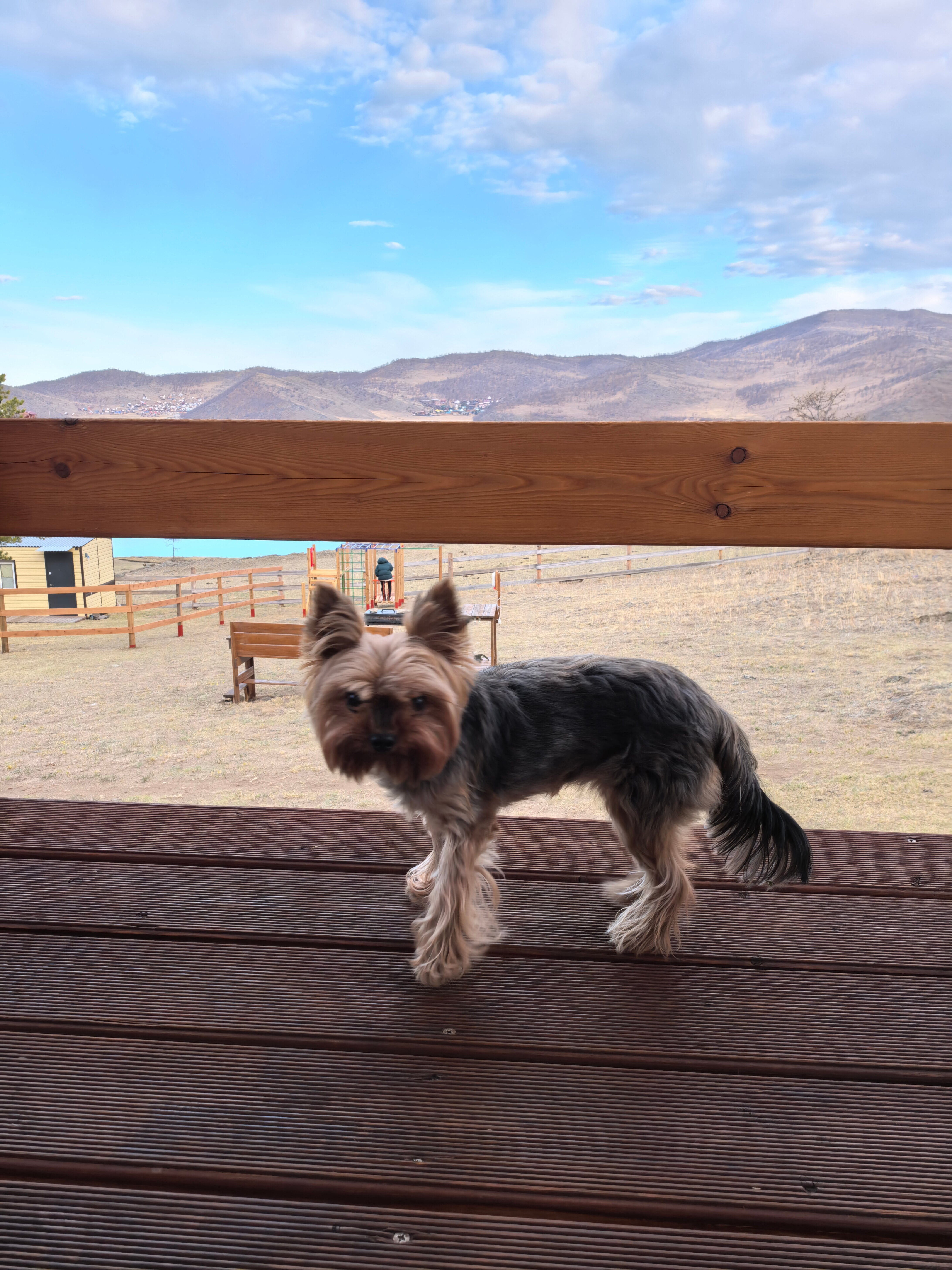 Фото ЭкоАура