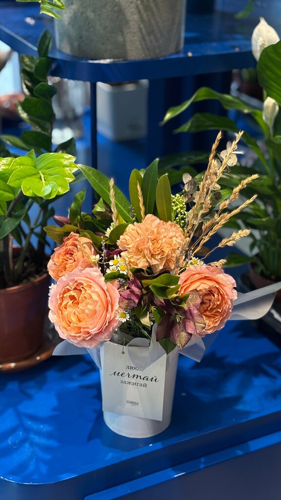 Екатерина Ларионова