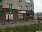 Вожык (Kurchatava Street, 22) ، محل بقالة