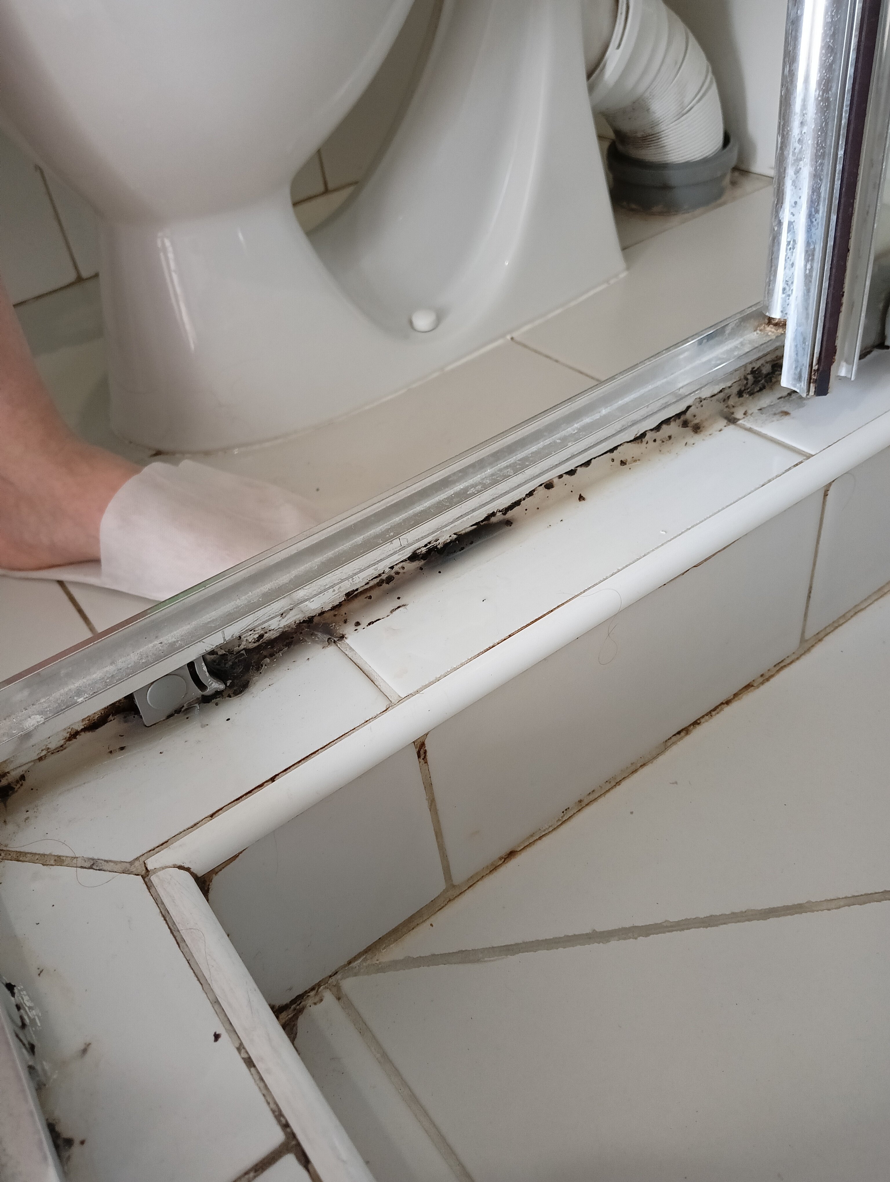 Фото Variant L80