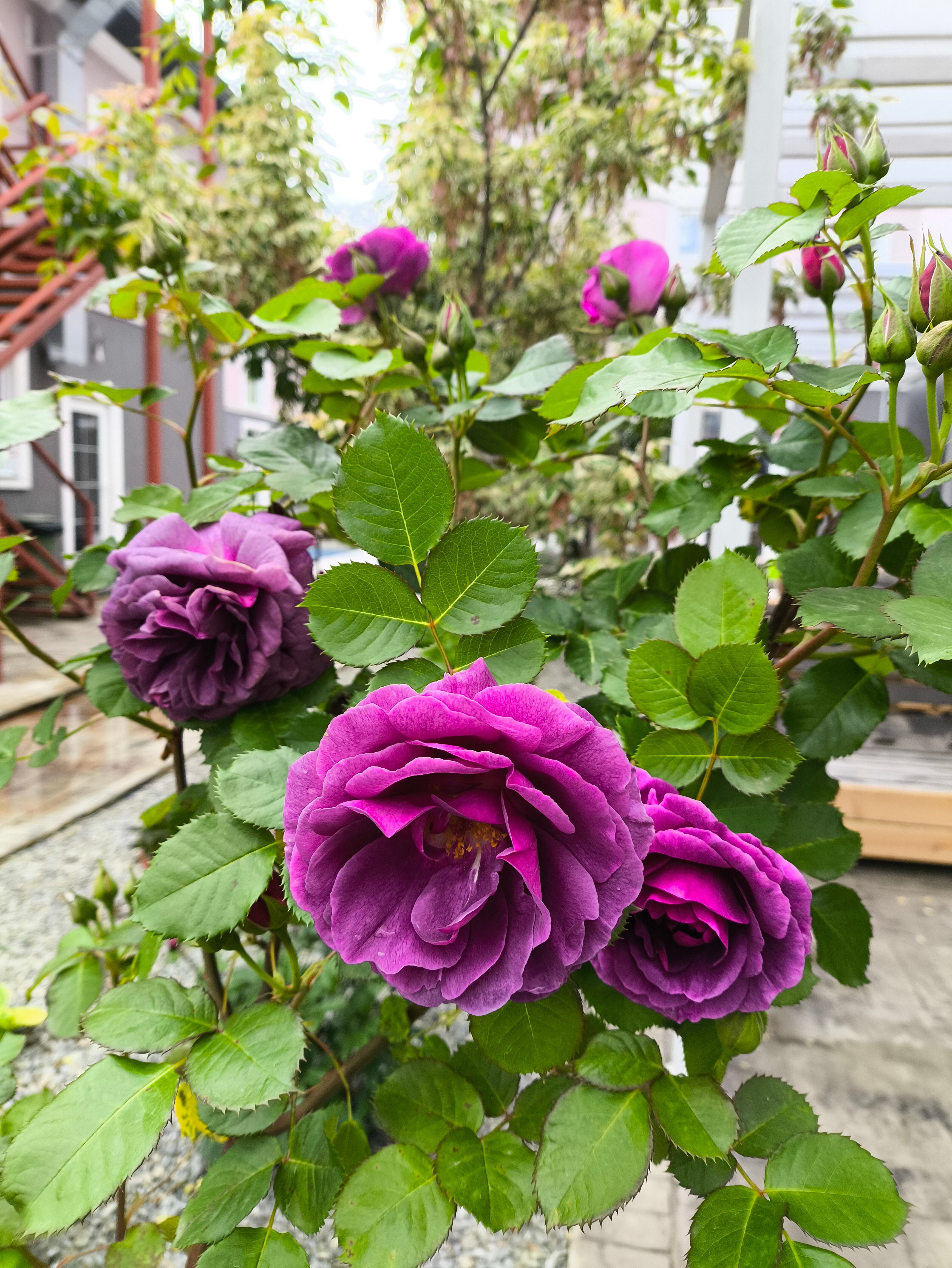 Фото Средиземье