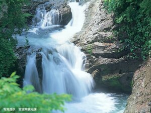Гостиница Hotel Green Palace