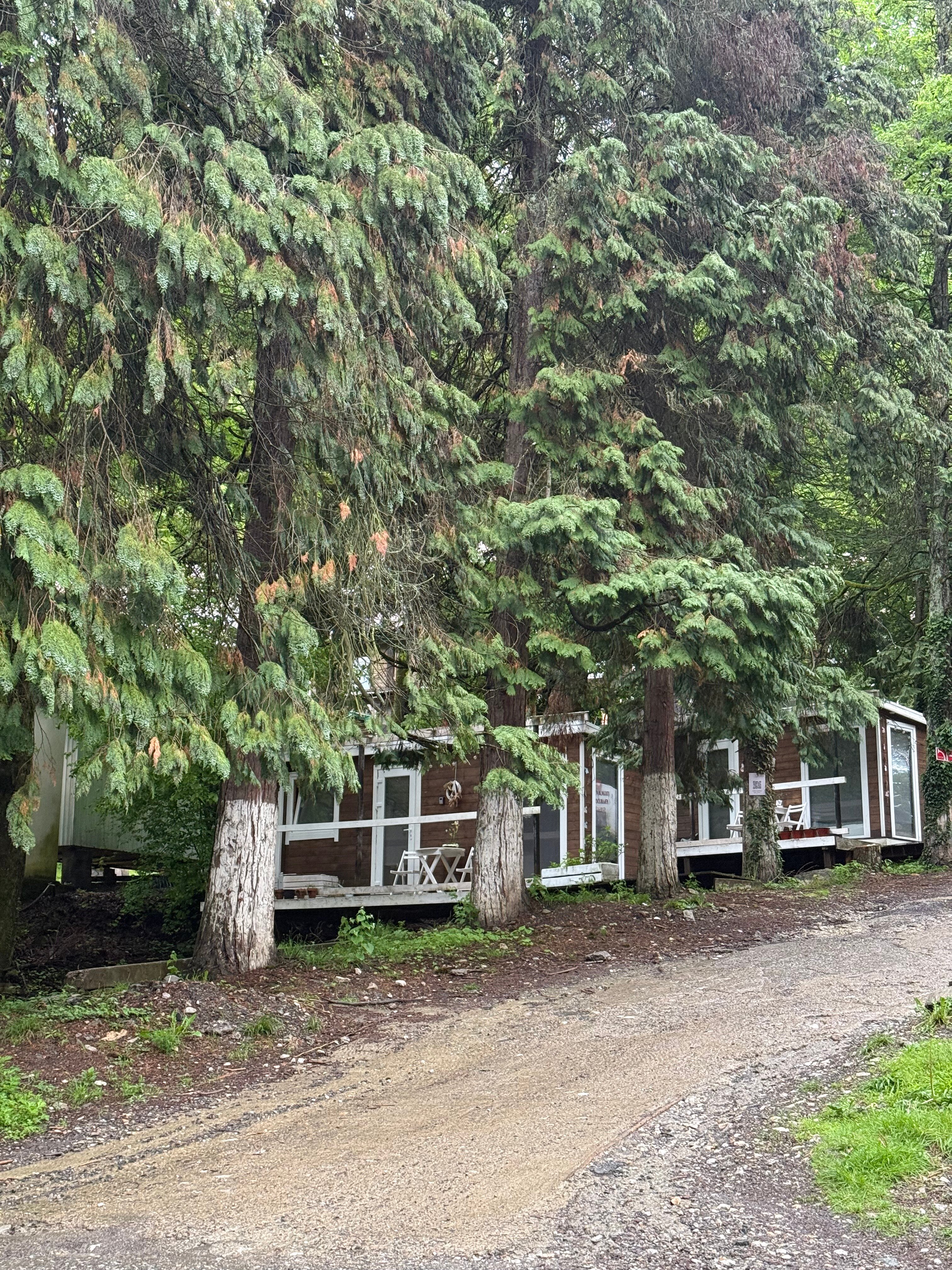 Фото Зайки в домике