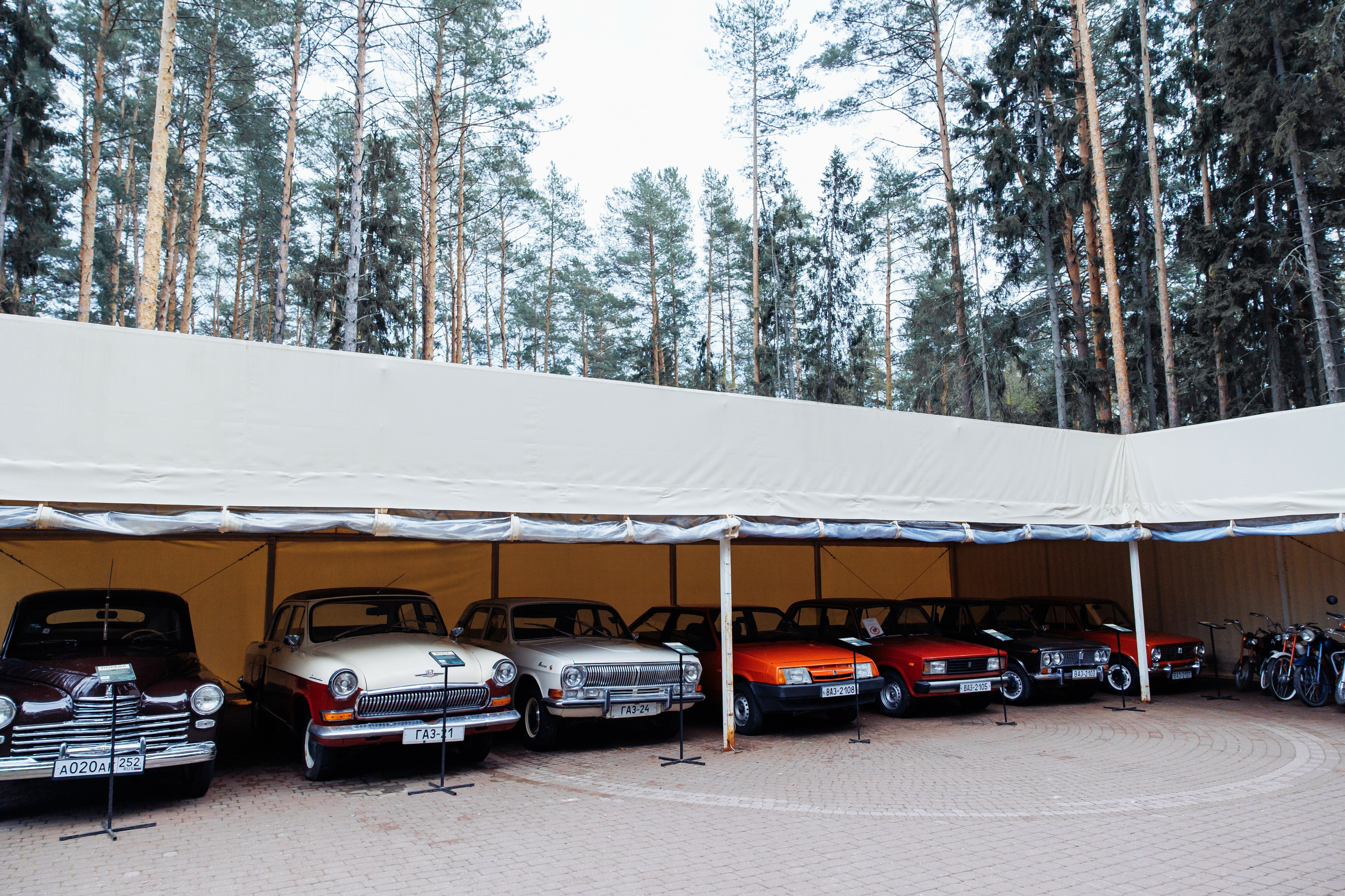 Фото Изумрудное