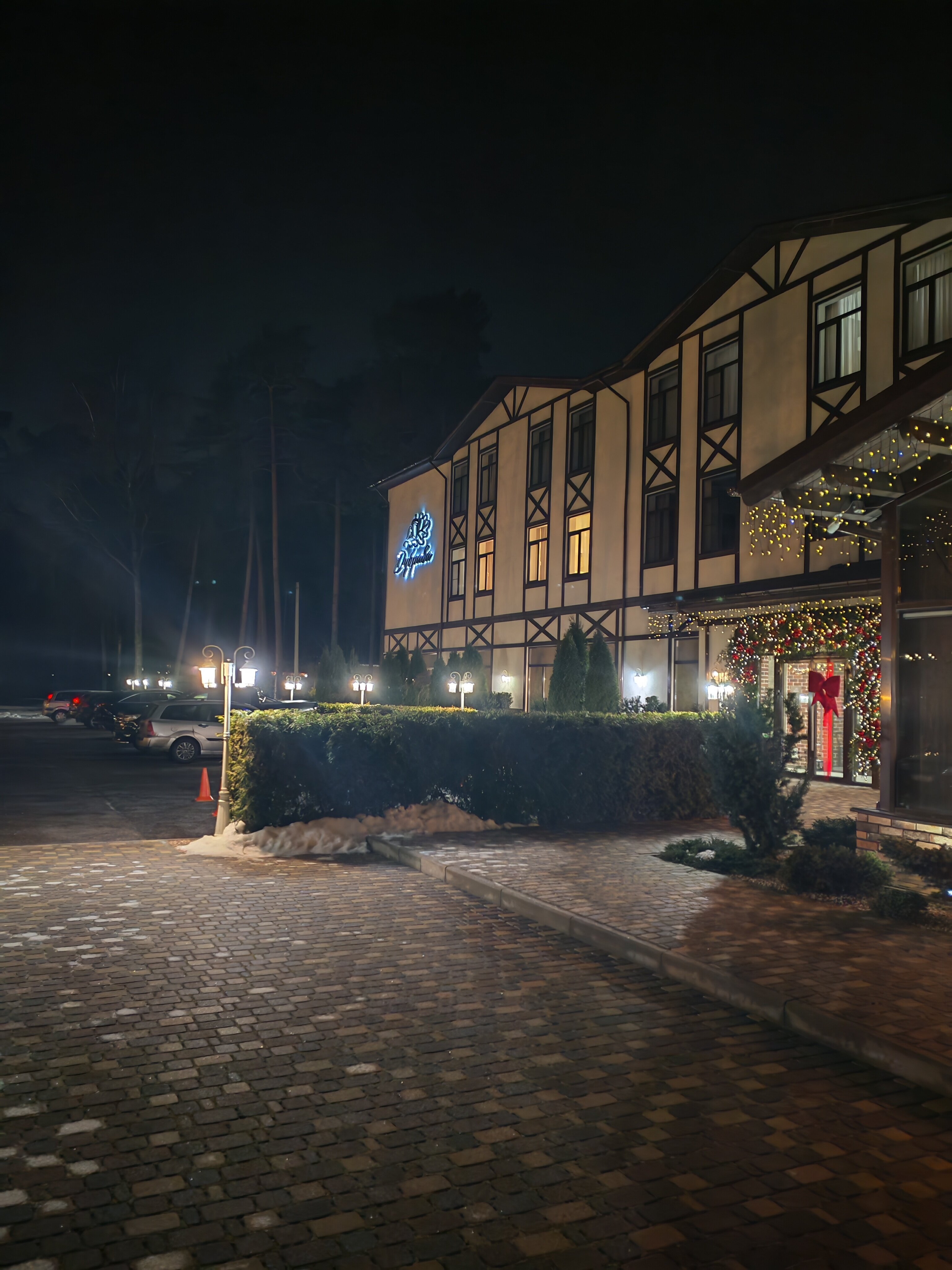 Фото Дубрава