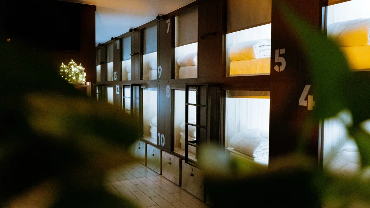 Фото Старый Лис