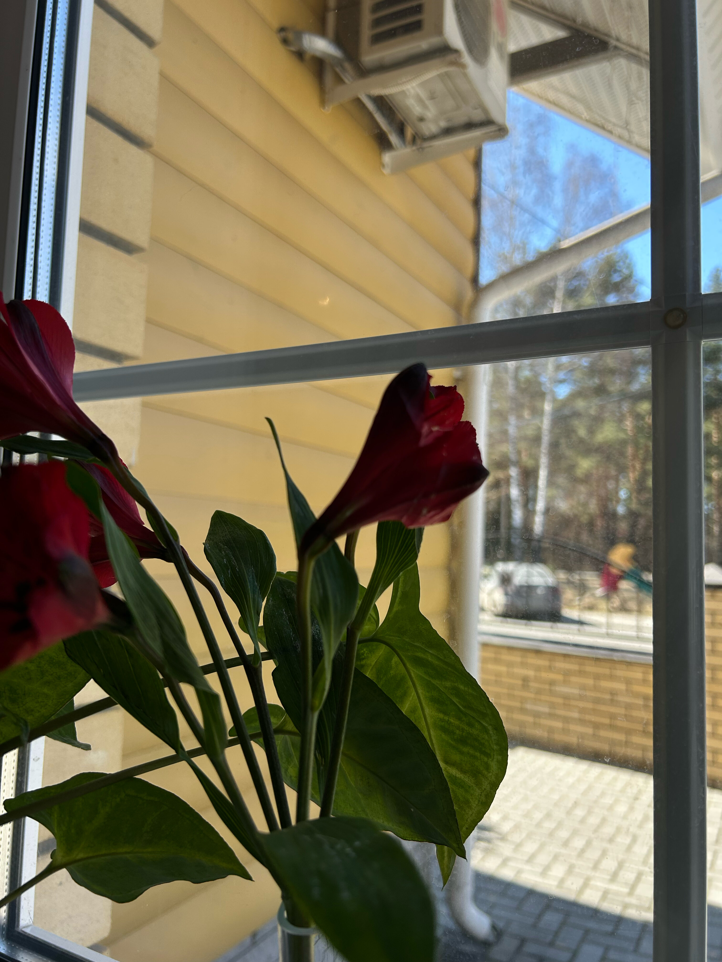 Фото Гнездо Хорошее место