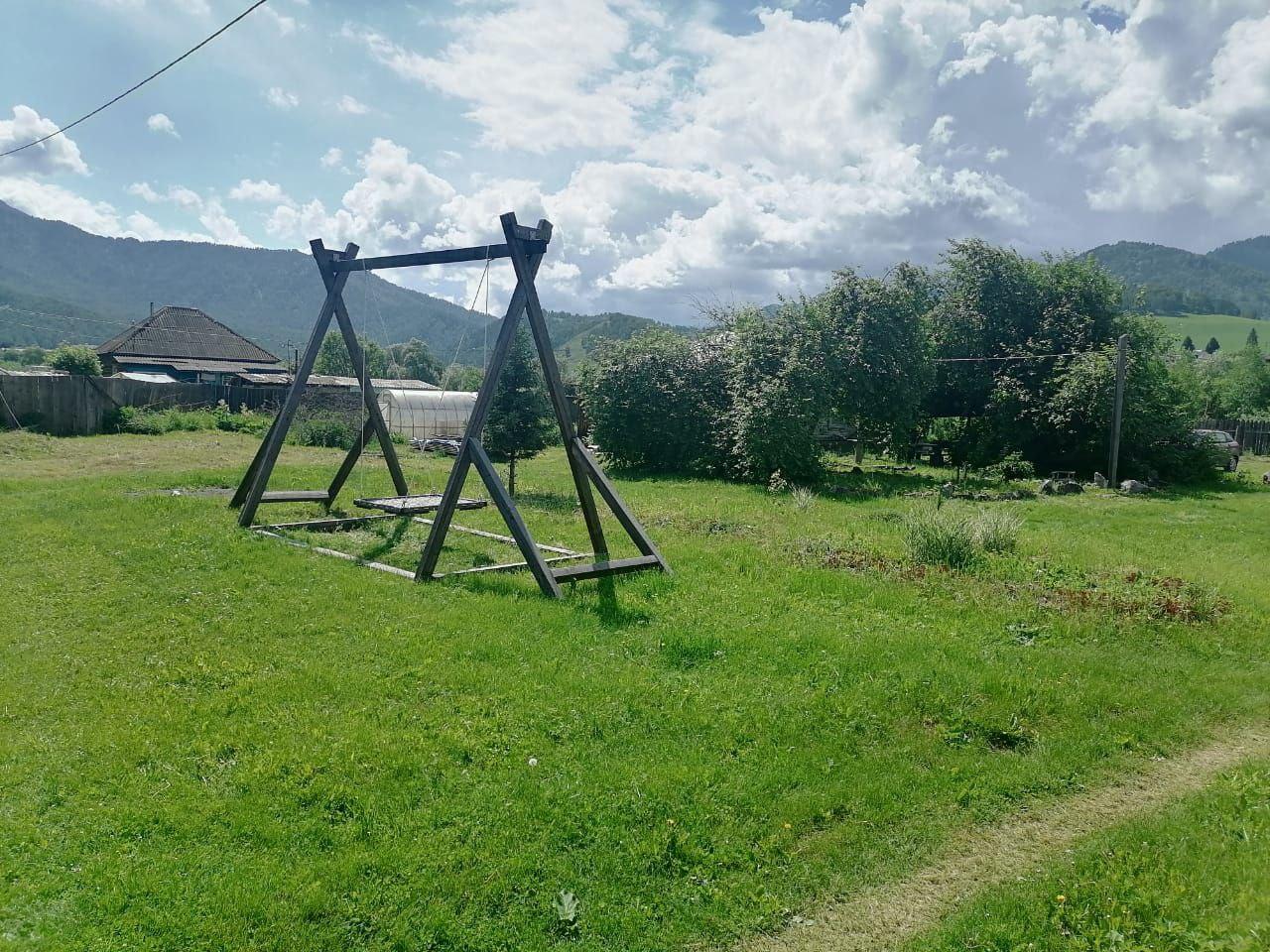 Фото Золотая пчела