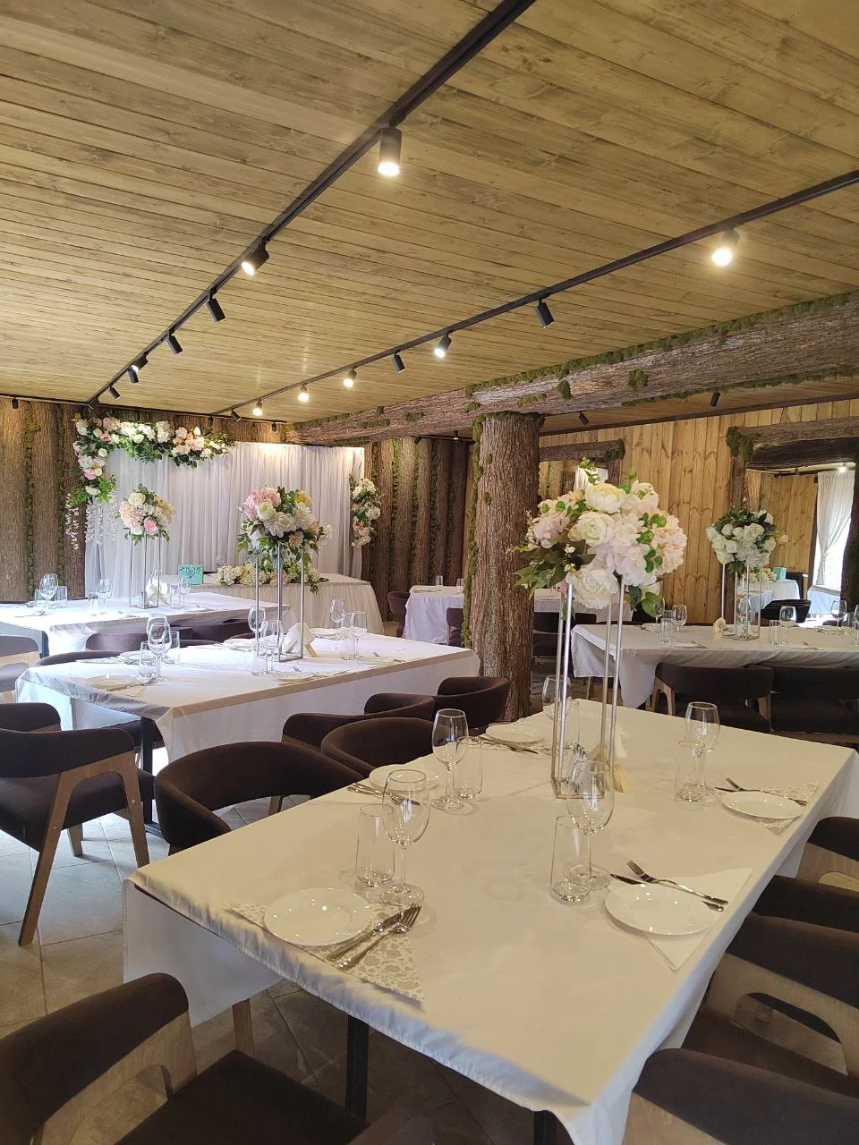 Фото Магия леса