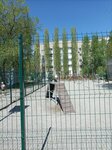 Dog park (Voronezh, 3rd International Street), dog park
