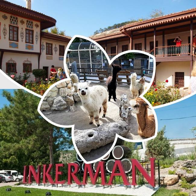 Фото Лев, корпус Катрин