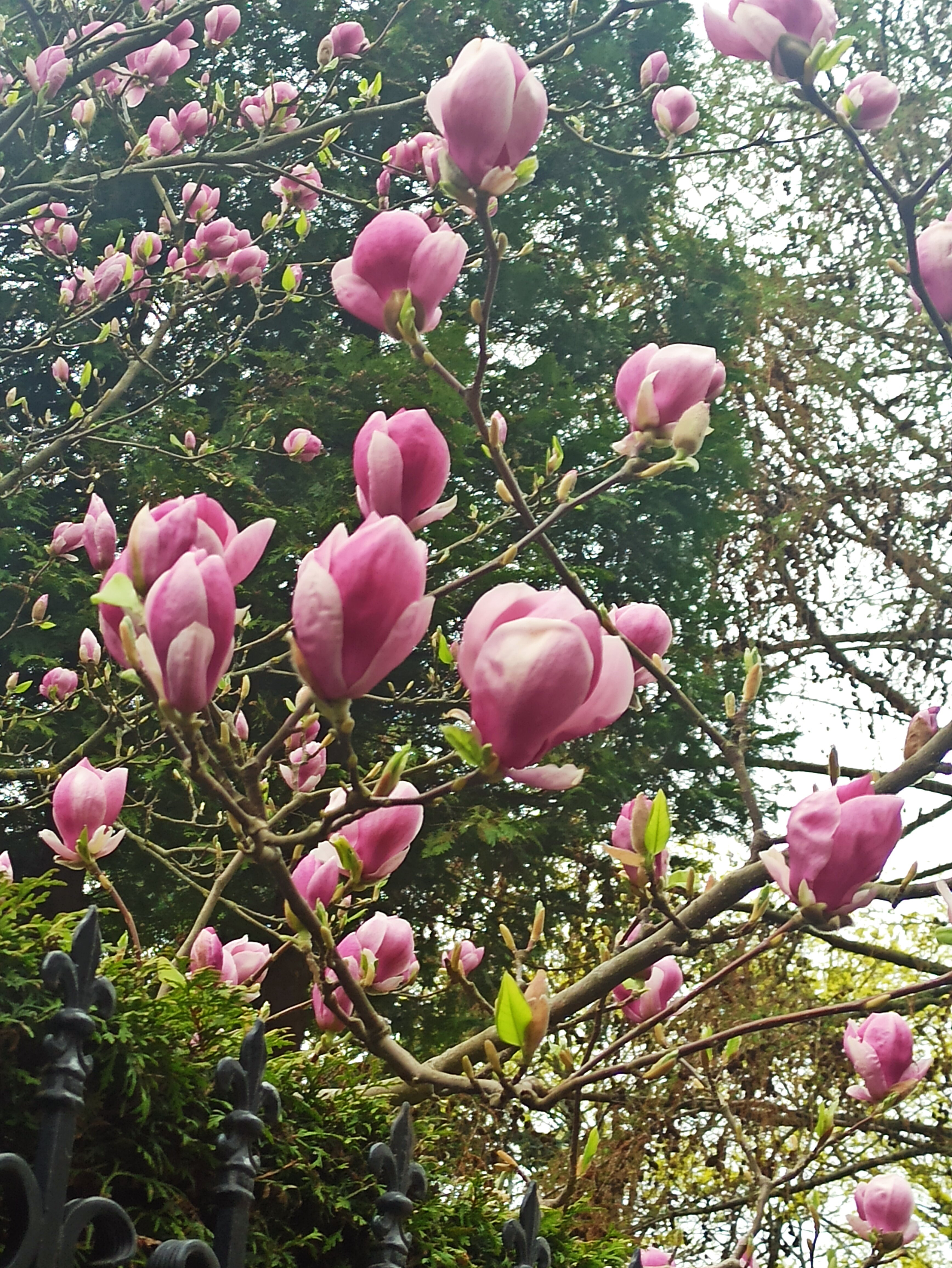 Фото Вилла Готланд