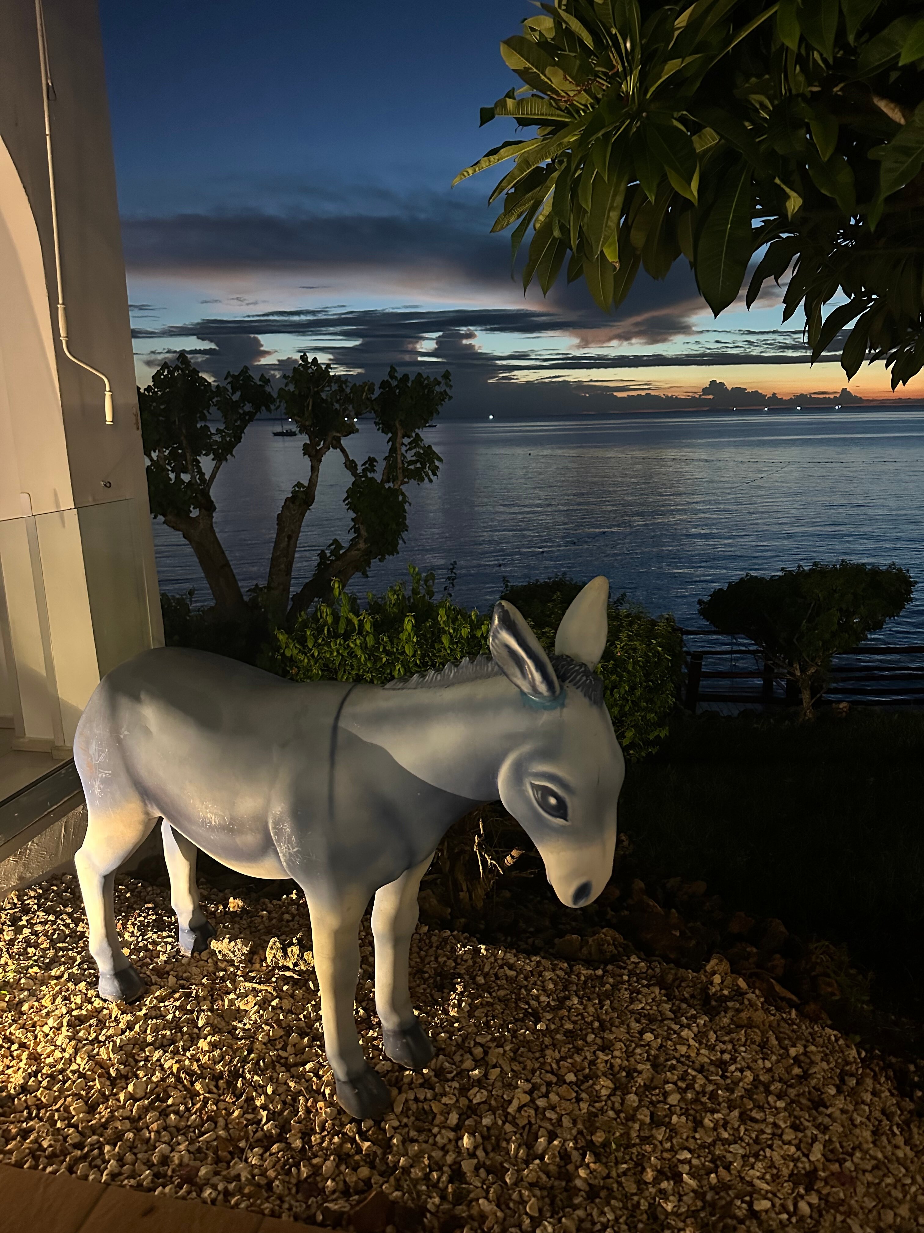 Фото Hotel Riu Palace Zanzibar