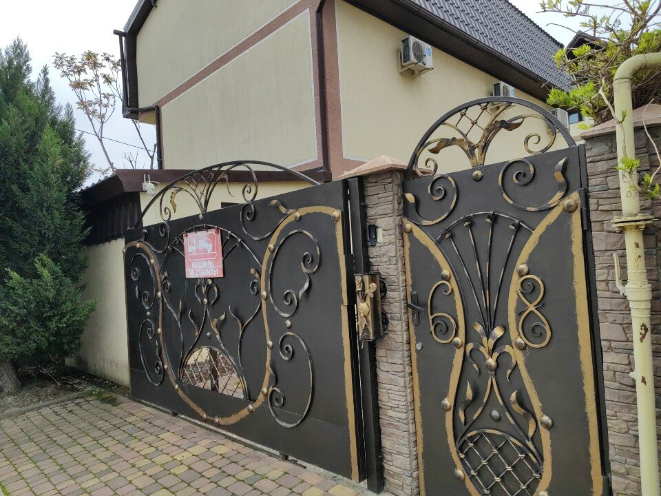 Фото Пеликен