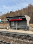 Темная Падь (Irkutsk Region, Slyudyanskiy rayon, Kultukskoye munitsipalnoye obrazovaniye) ، محطة سكة حديدية